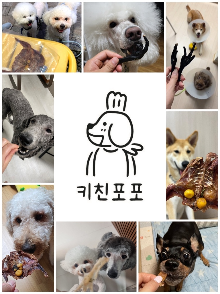 애견용품전문 추천 서울 성북구 지역 우수업체 강아지용품 애완용품 애견용품점 반려동물용품점 강아지스카프 애견용품샵 키친포포