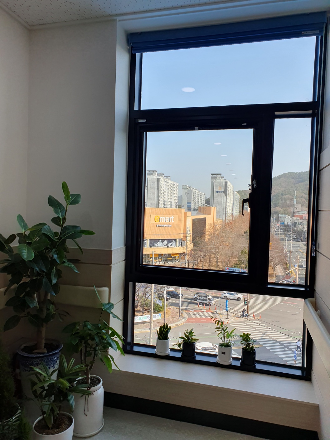 365매일한방병원 대표 이미지