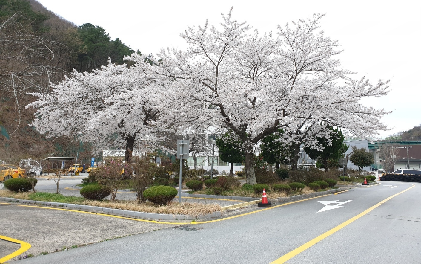 신진자동차운전전문학원