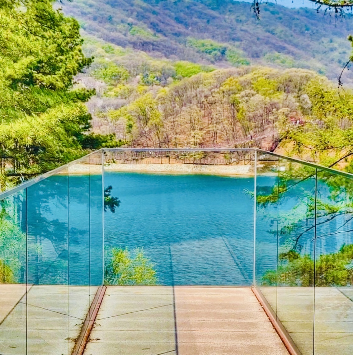 레드브릿지 설명사진