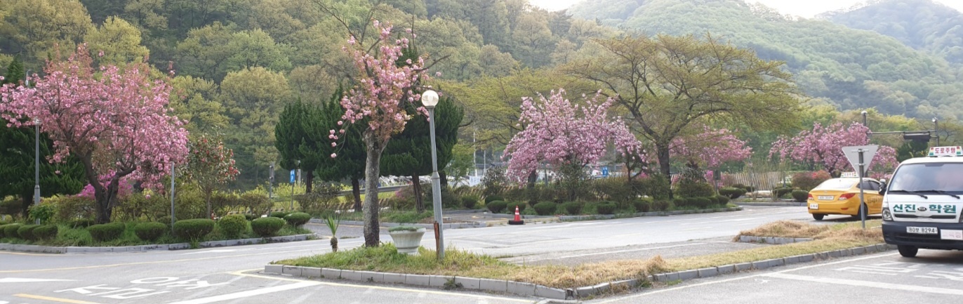 신진자동차운전전문학원