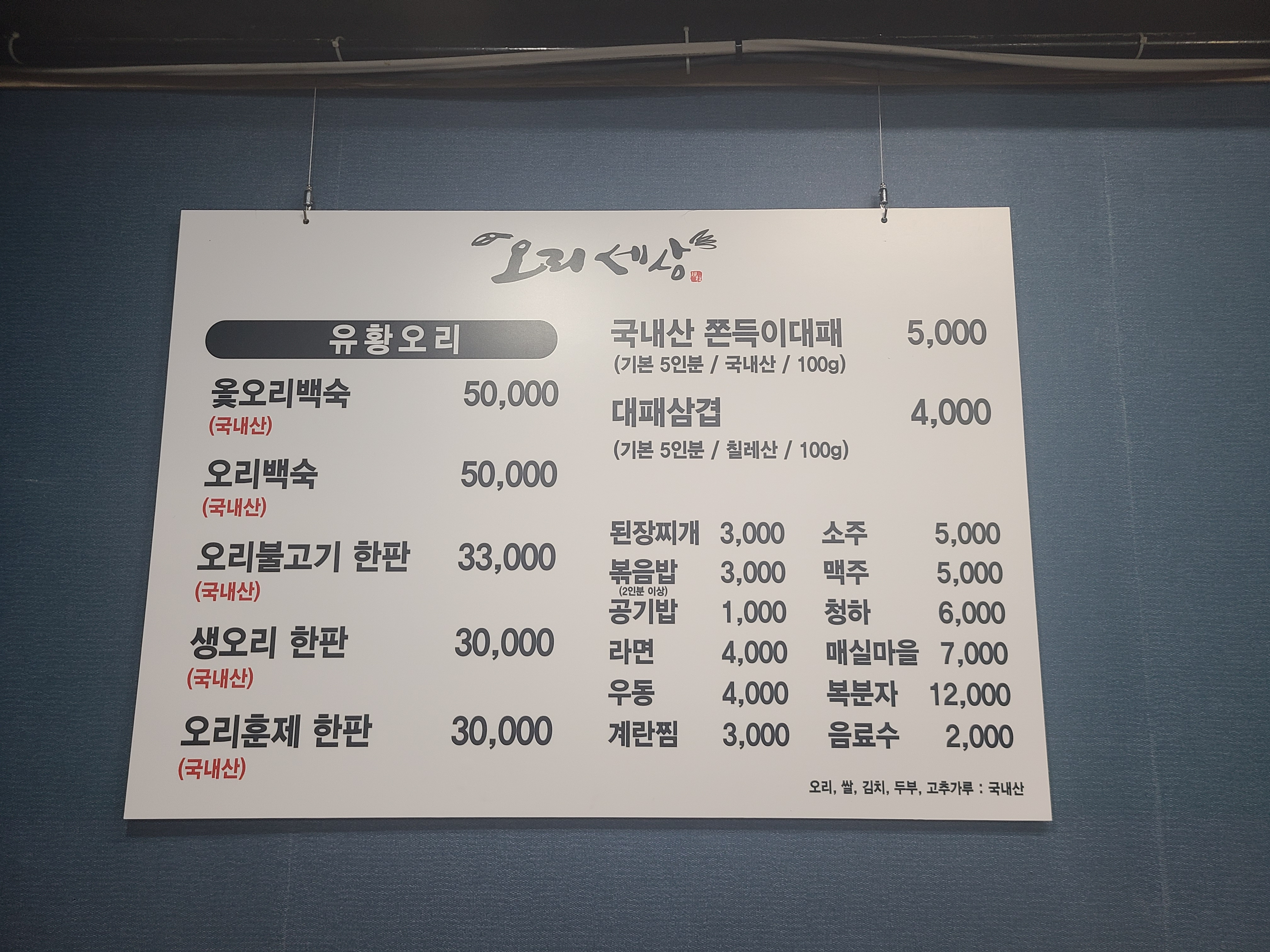 오리세상