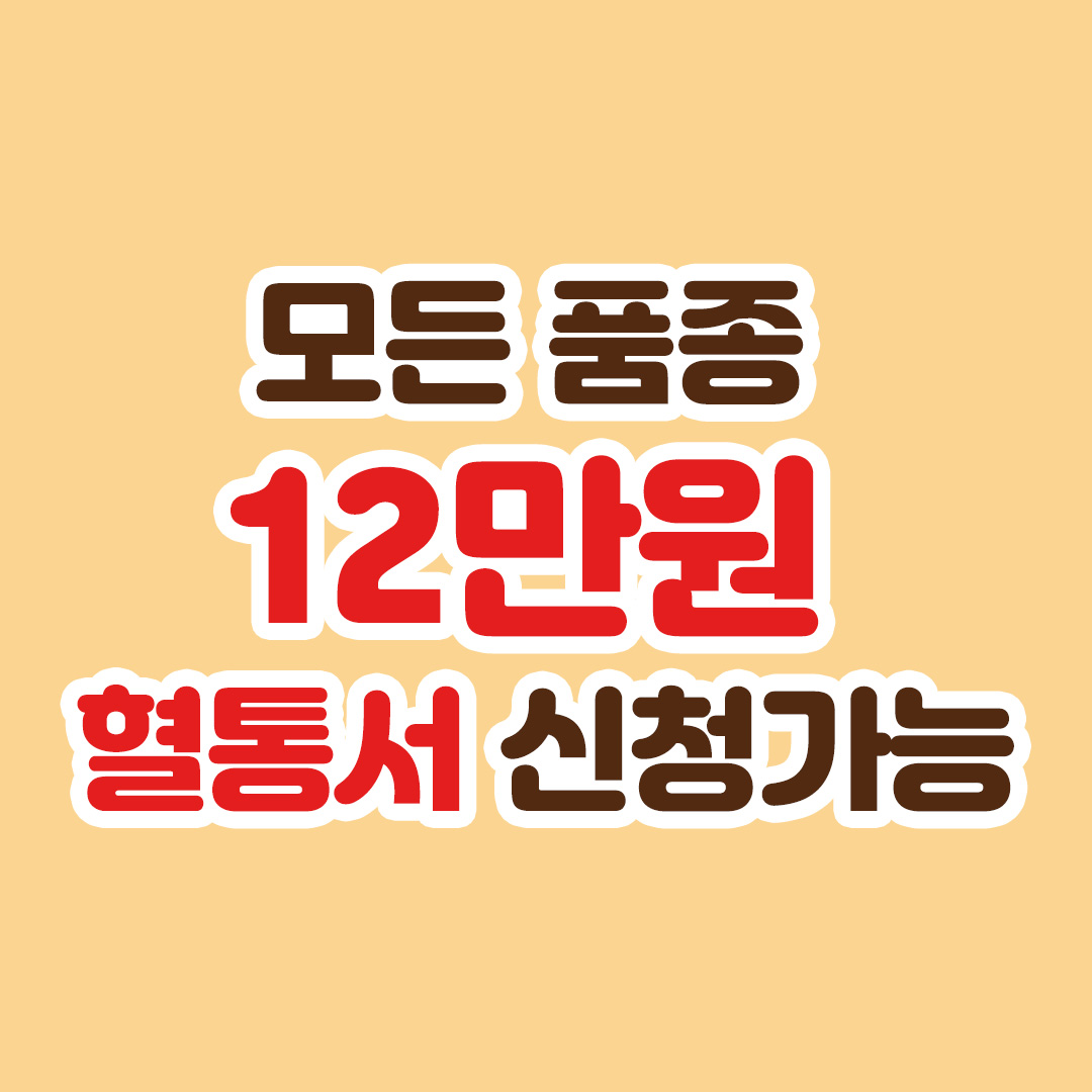 큐티댕냥 하남 본점 강아지 고양이