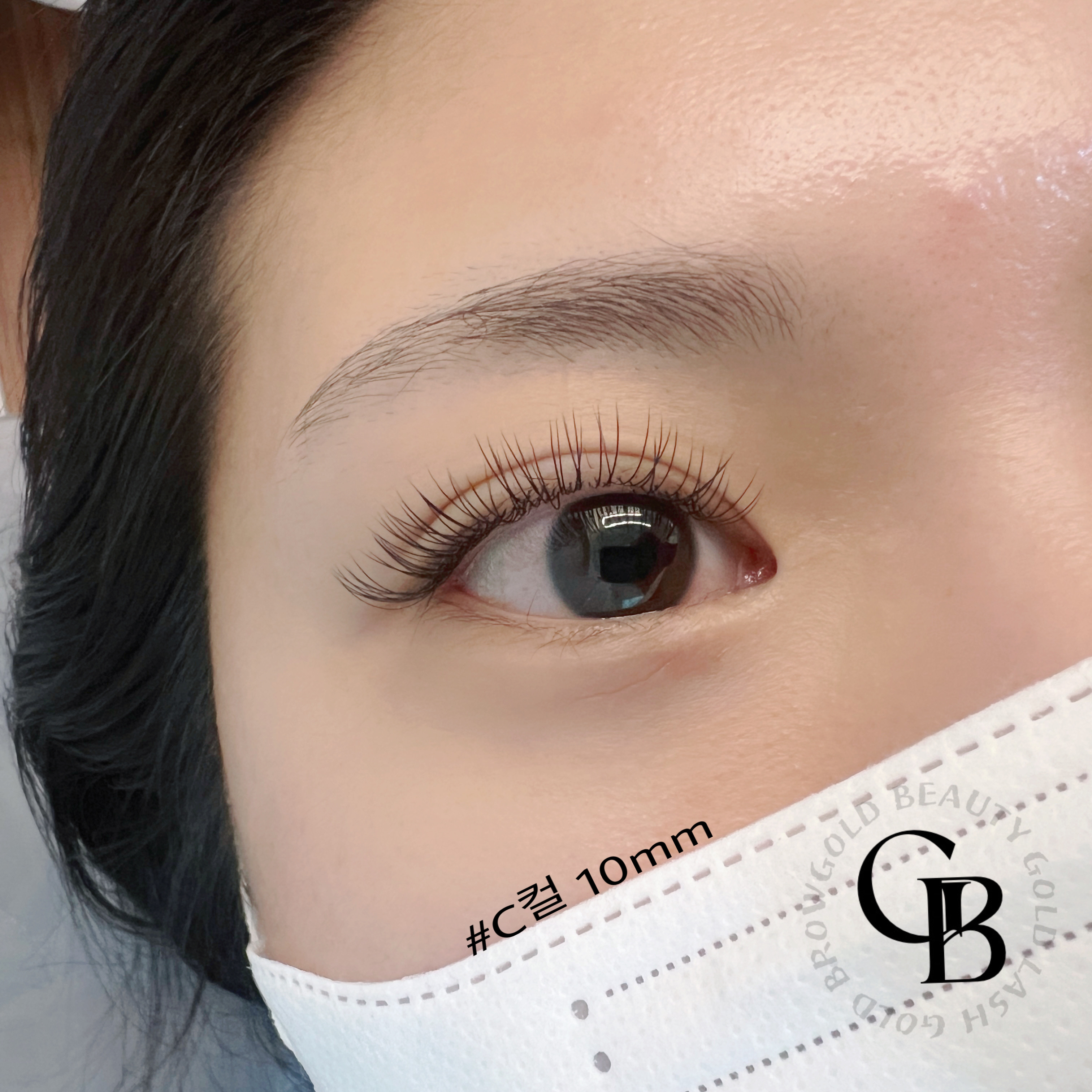 골드눈썹 고양화정점