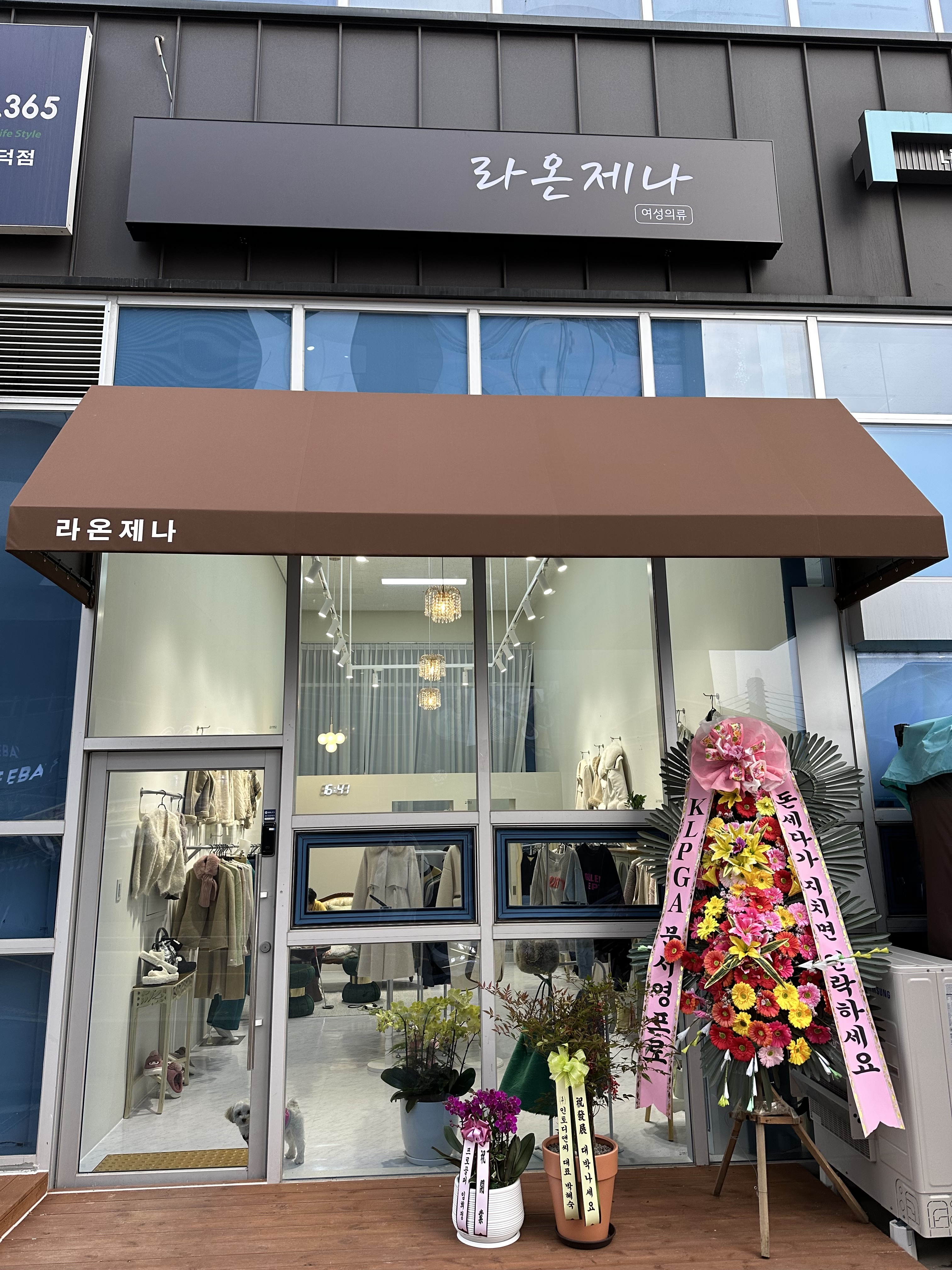 라온제나
