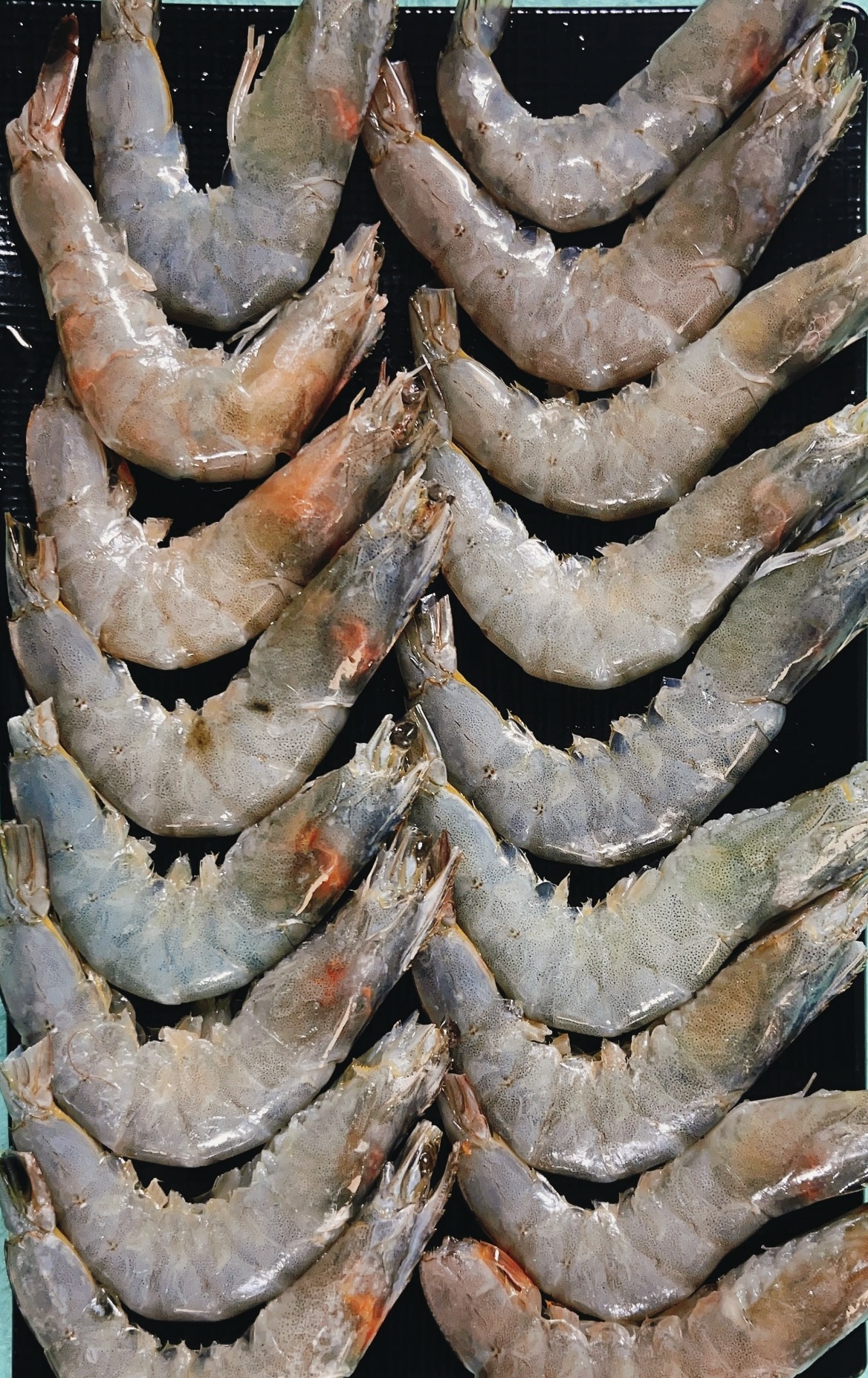 정홍양꼬치마라탕