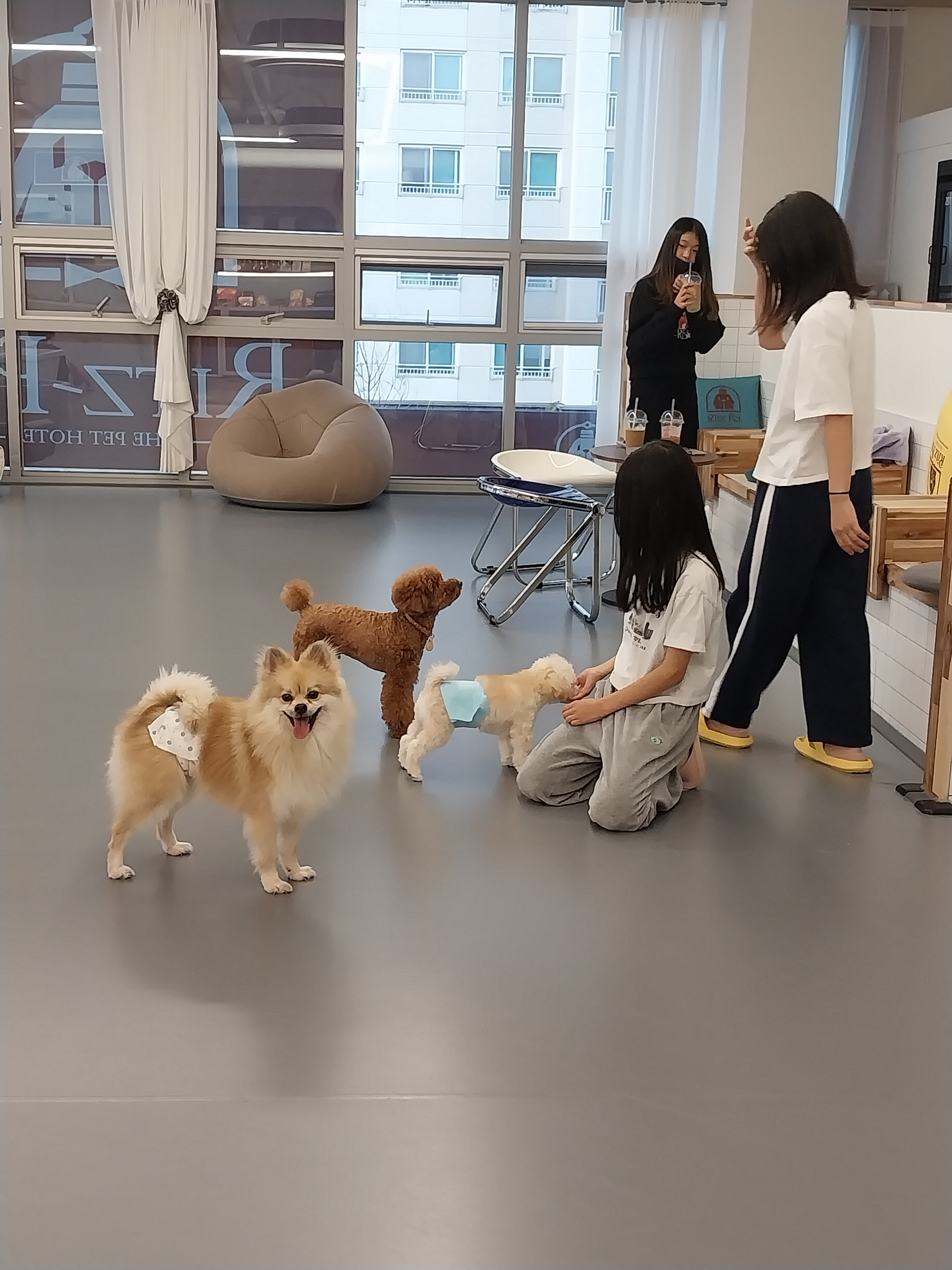 피터팻츠 4