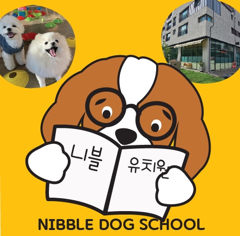 니블 유치원