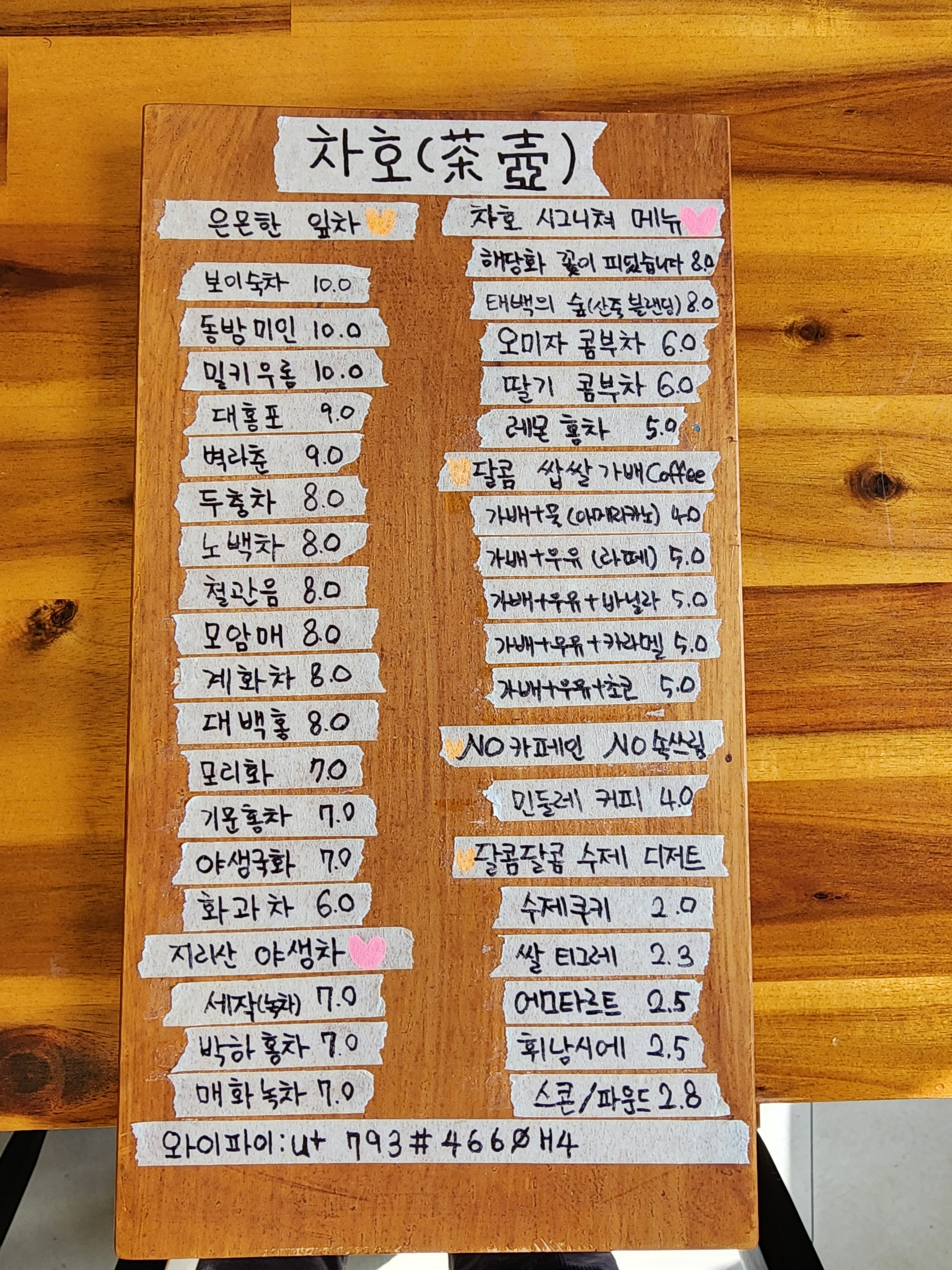 차호 강원 애견맛집