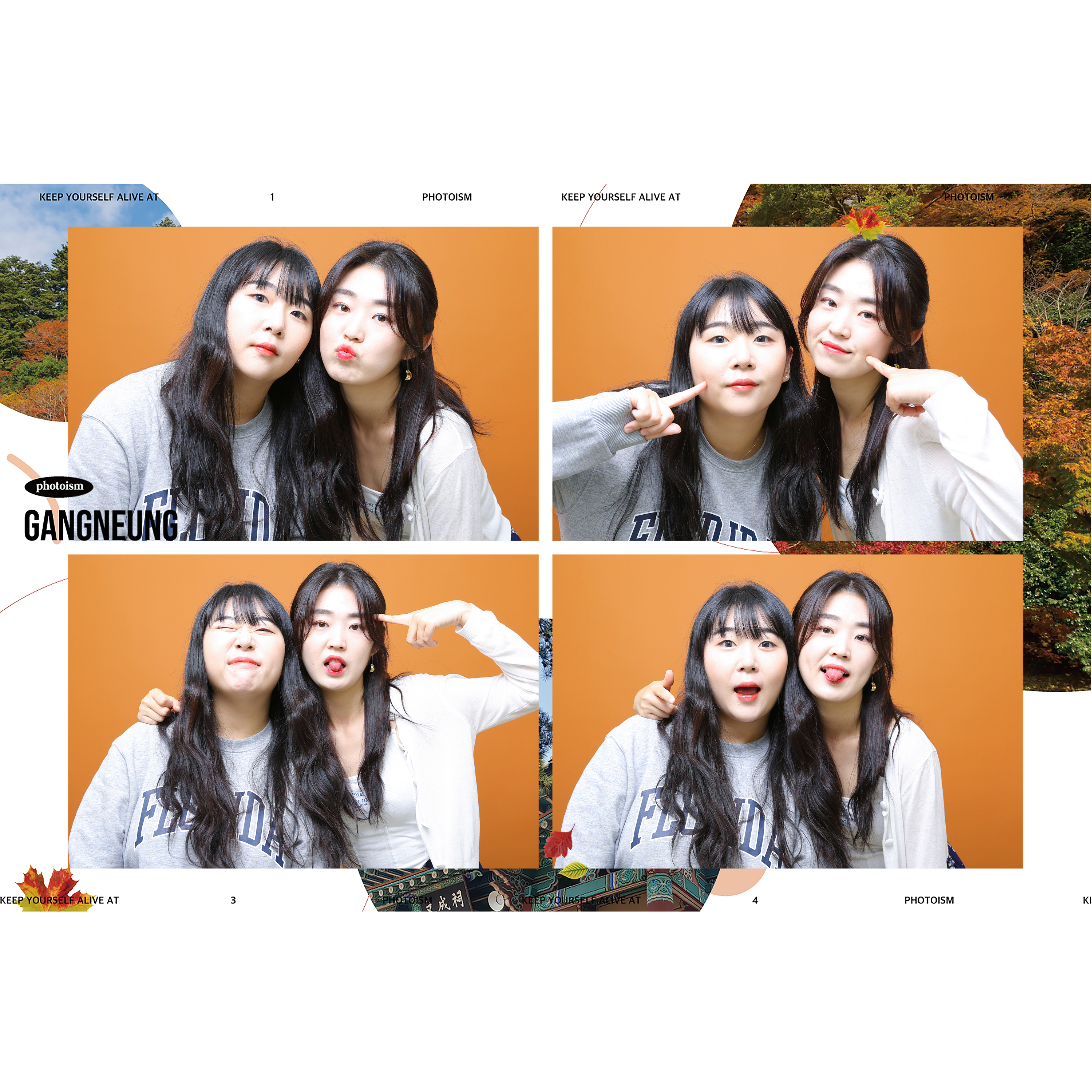 포토이즘스튜디오 강릉점