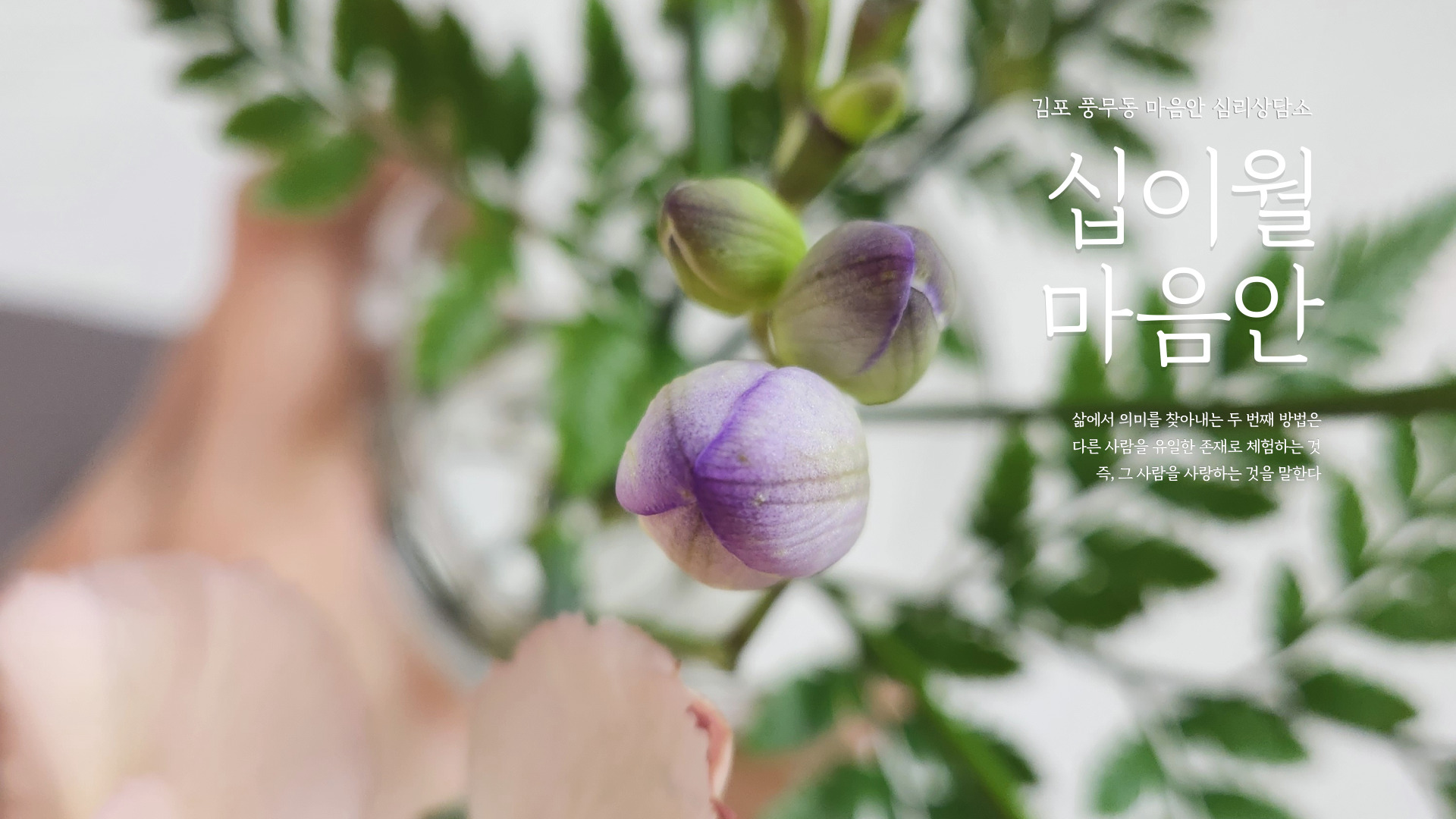 마음안 심리상담소