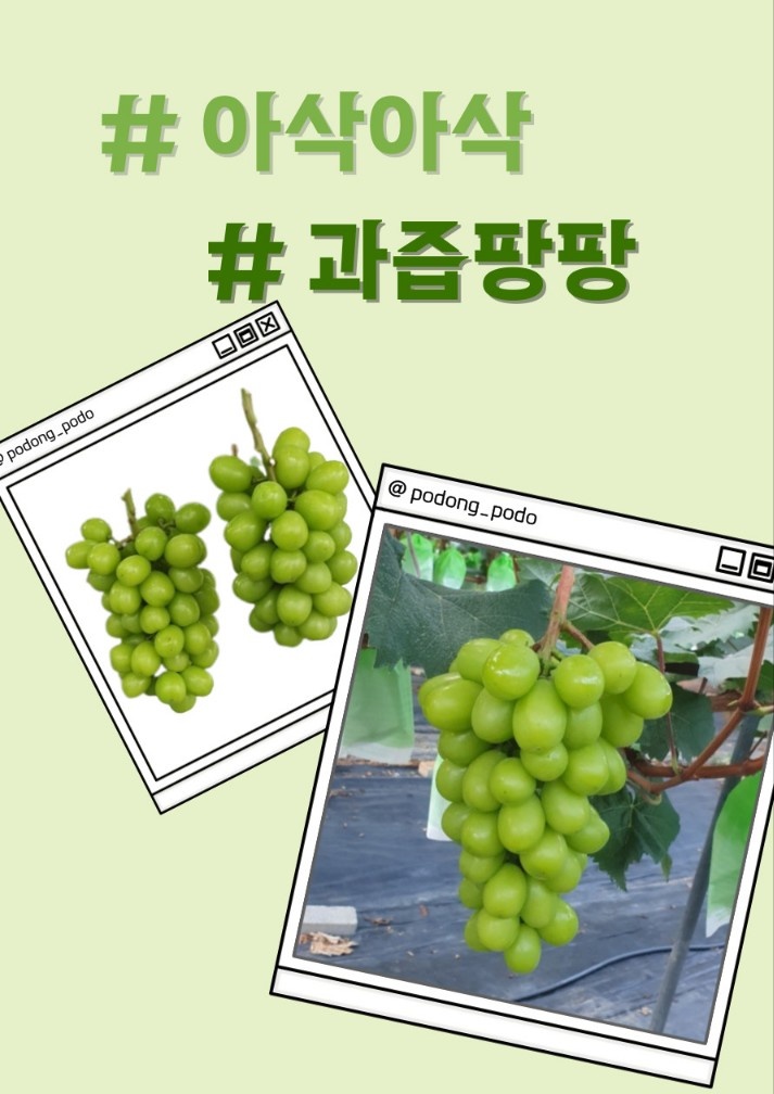 포동포도농장