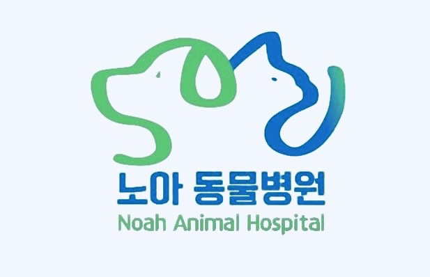 노아동물병원