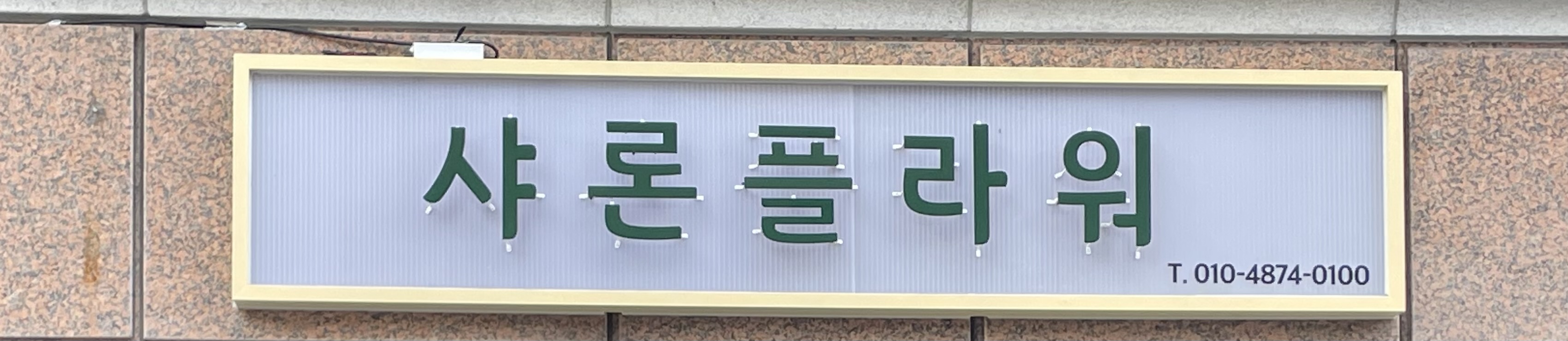샤론플라워