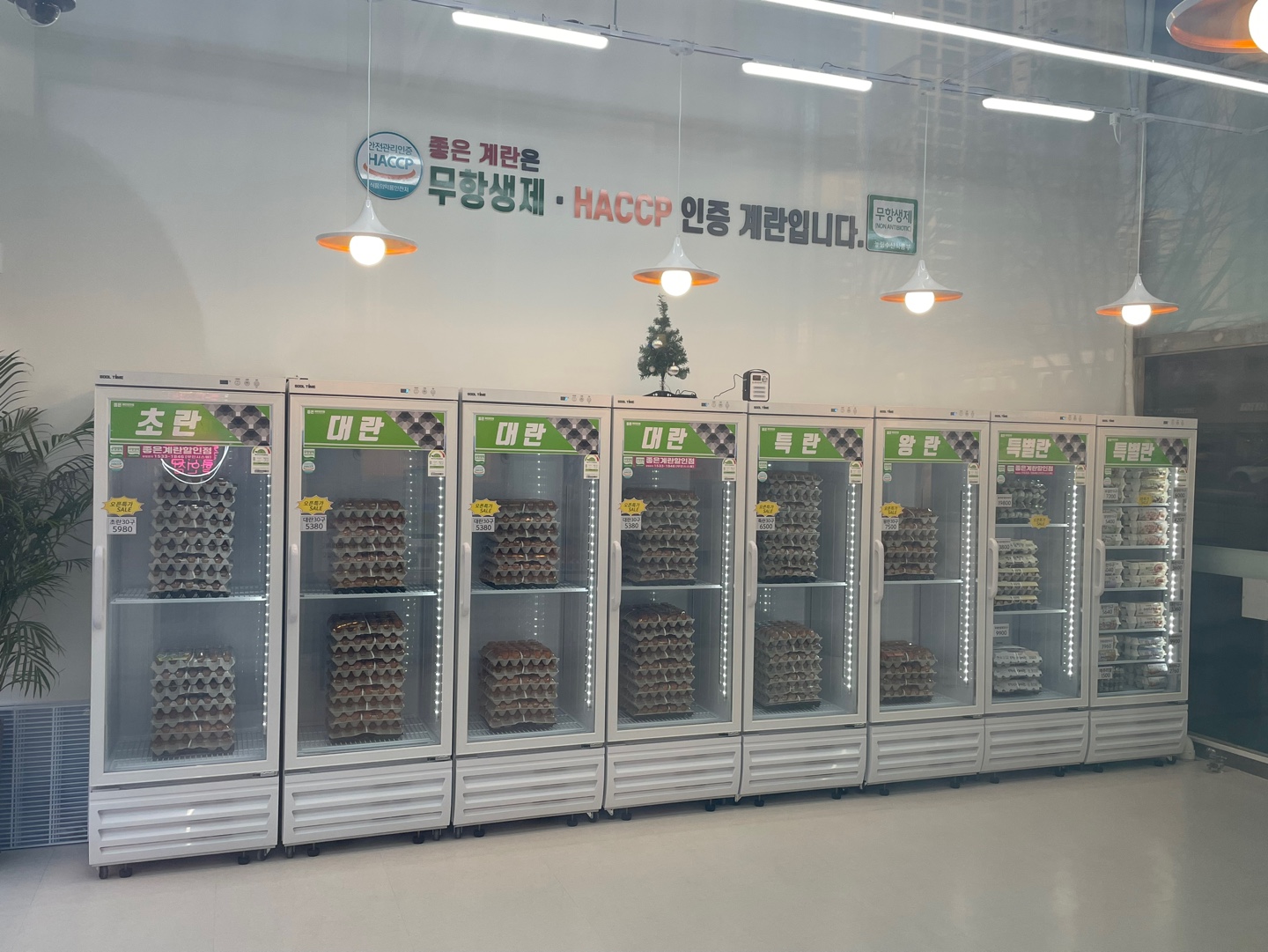 좋은계란할인점 일산식사점