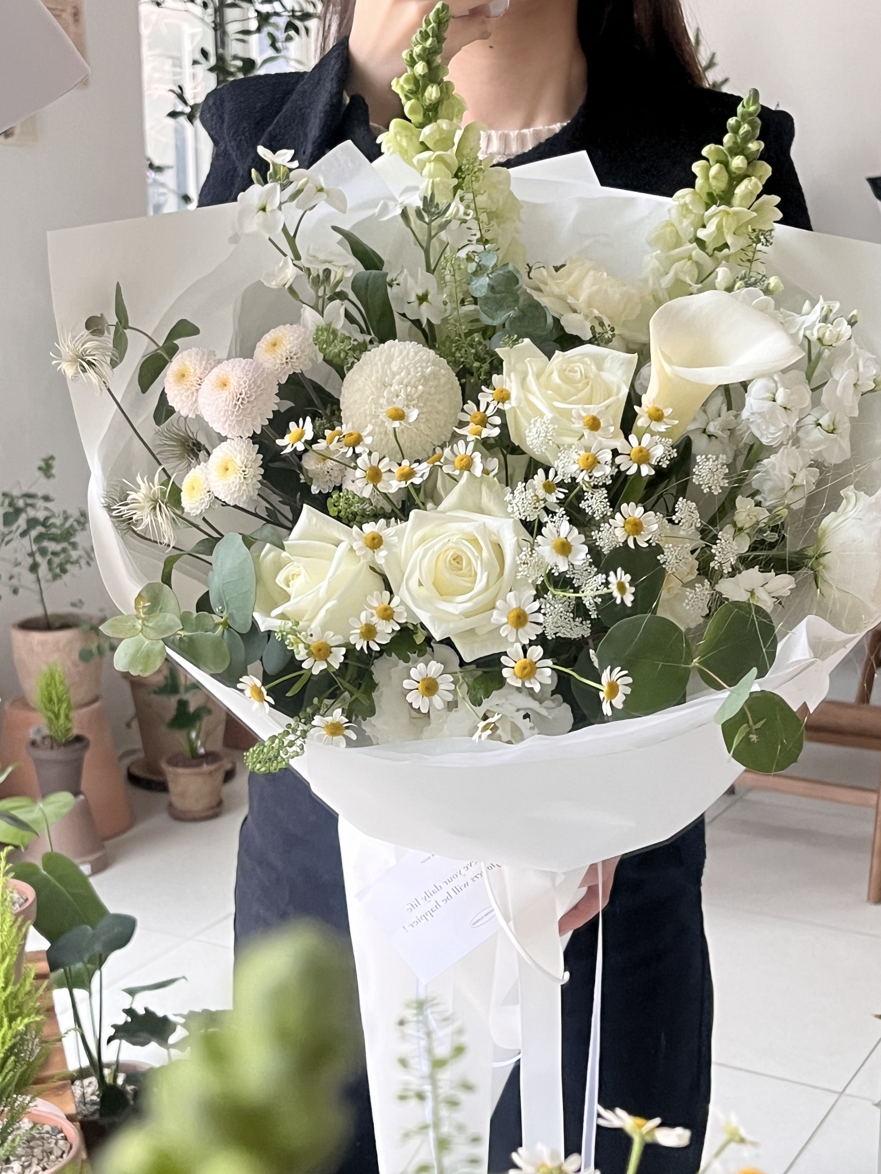 플라도르