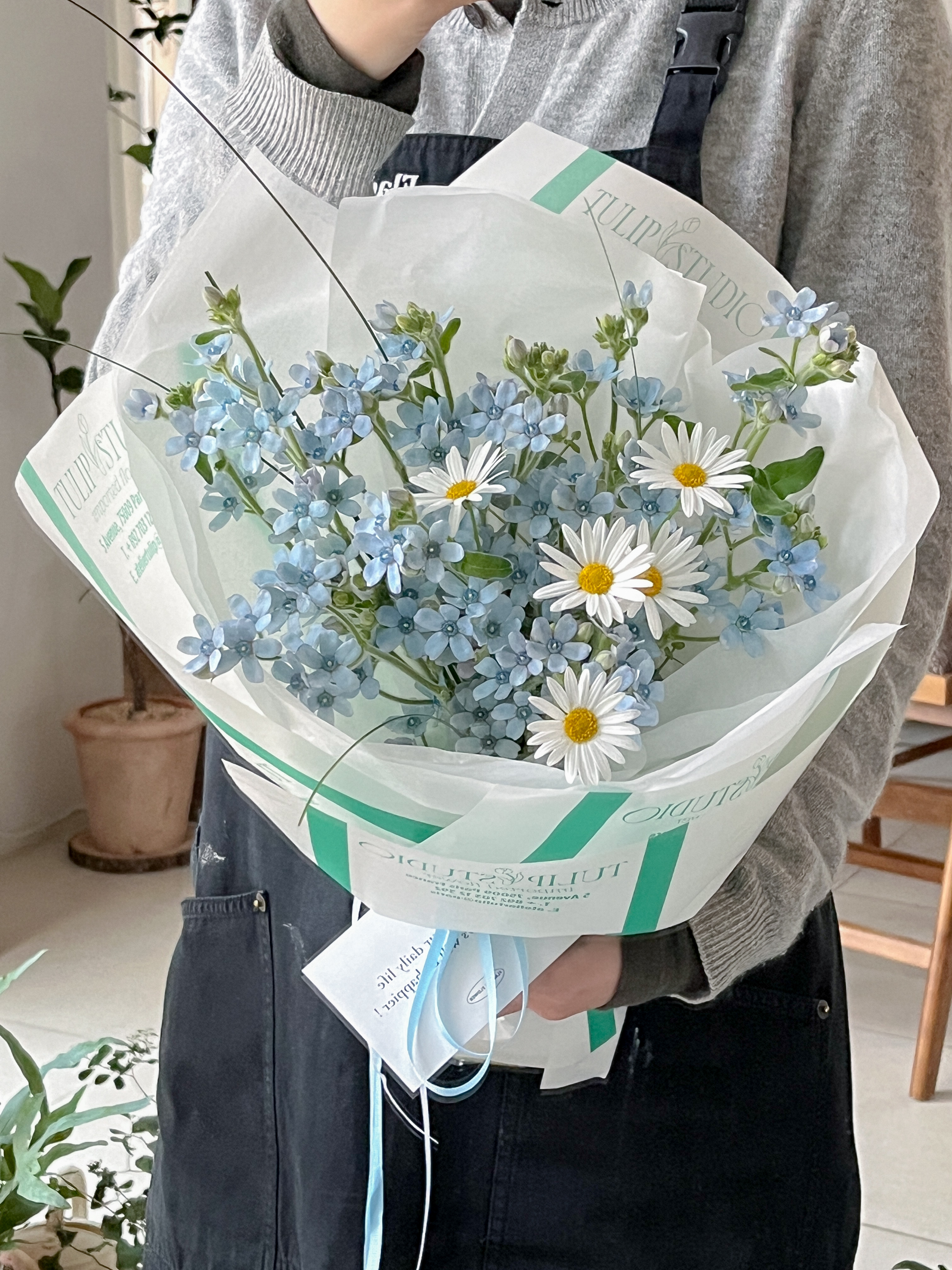 플라도르