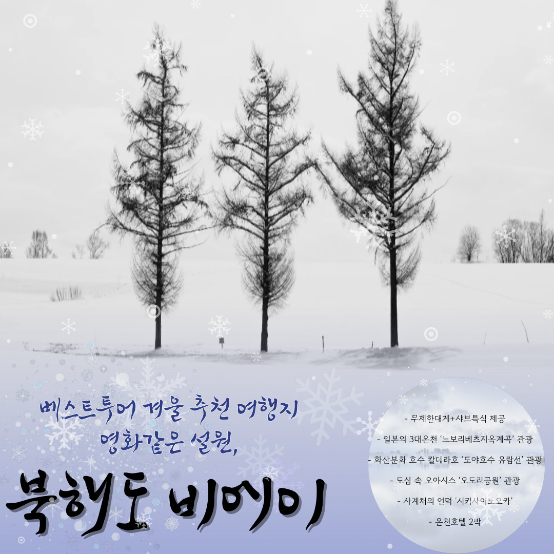 베스트투어 여행사