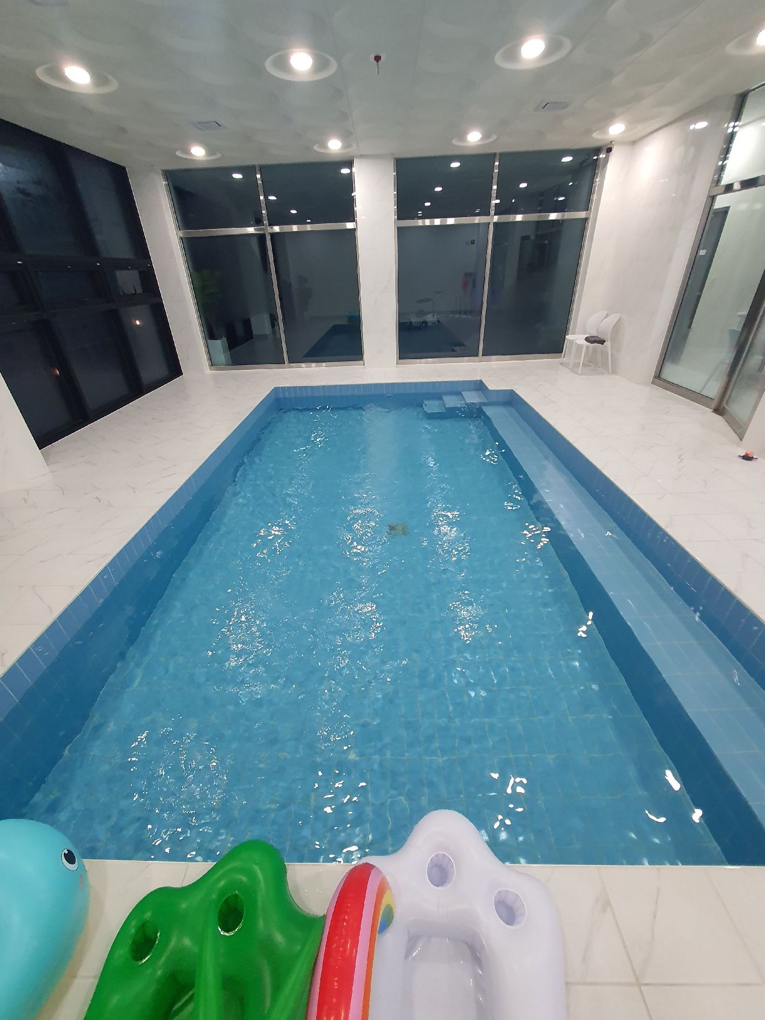 로얄펫밀리 8