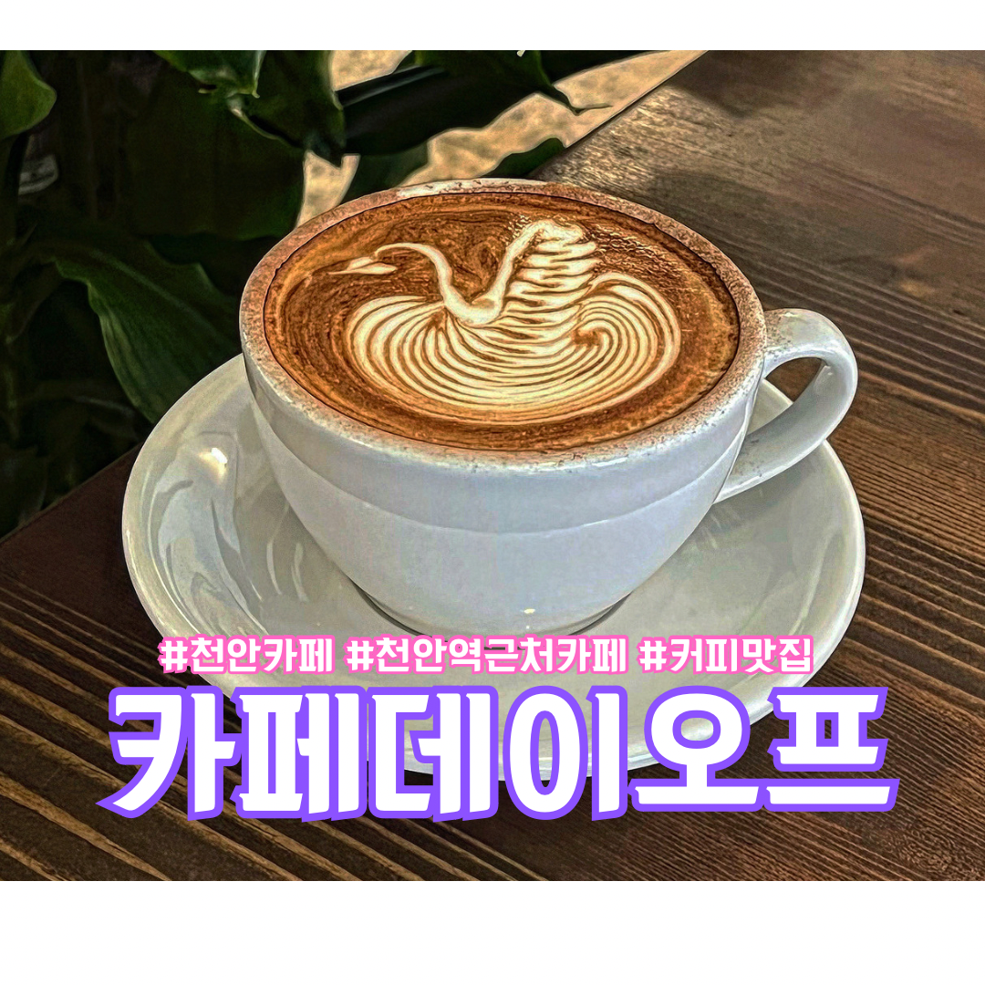 카페데이오프