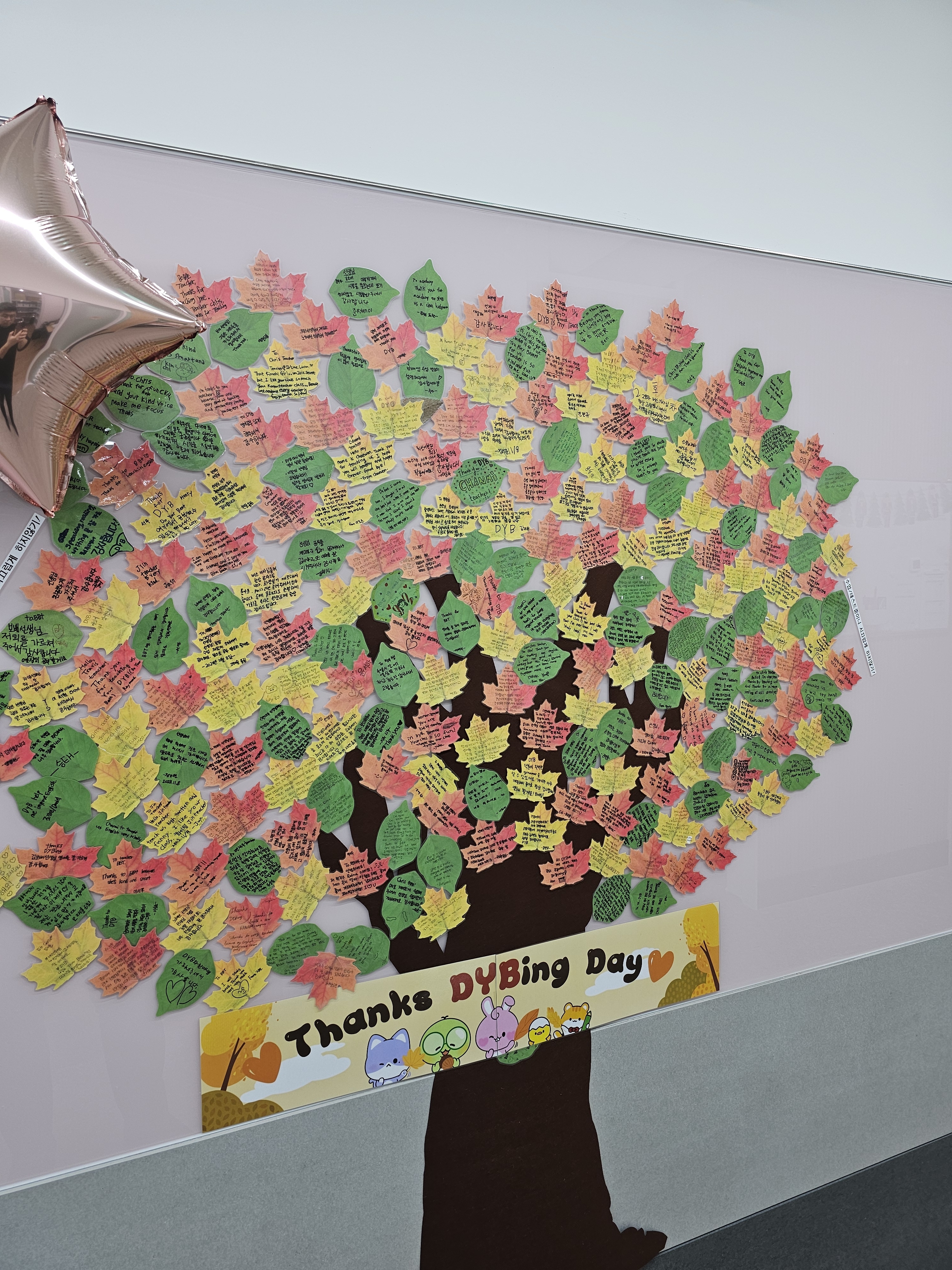 DYB최선어학원 강동하남 직영 대표 이미지