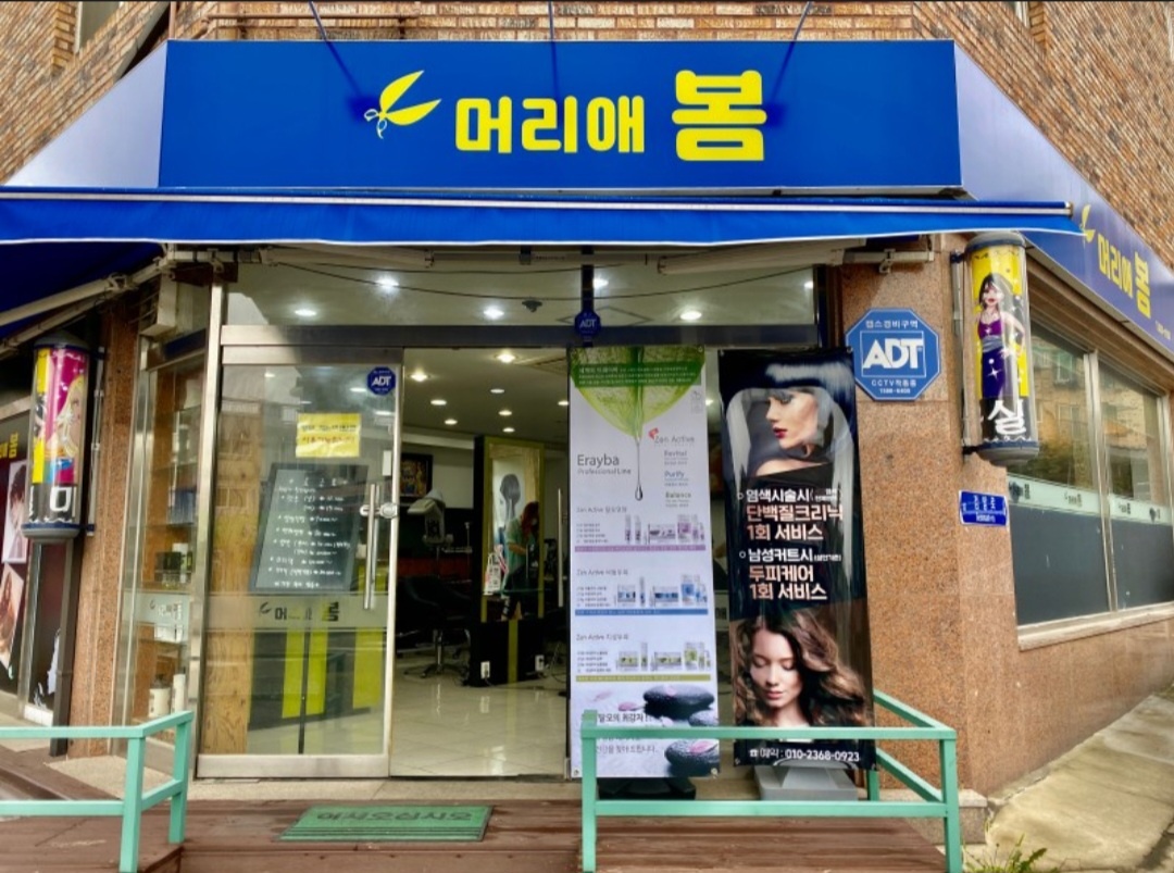 머리애봄
