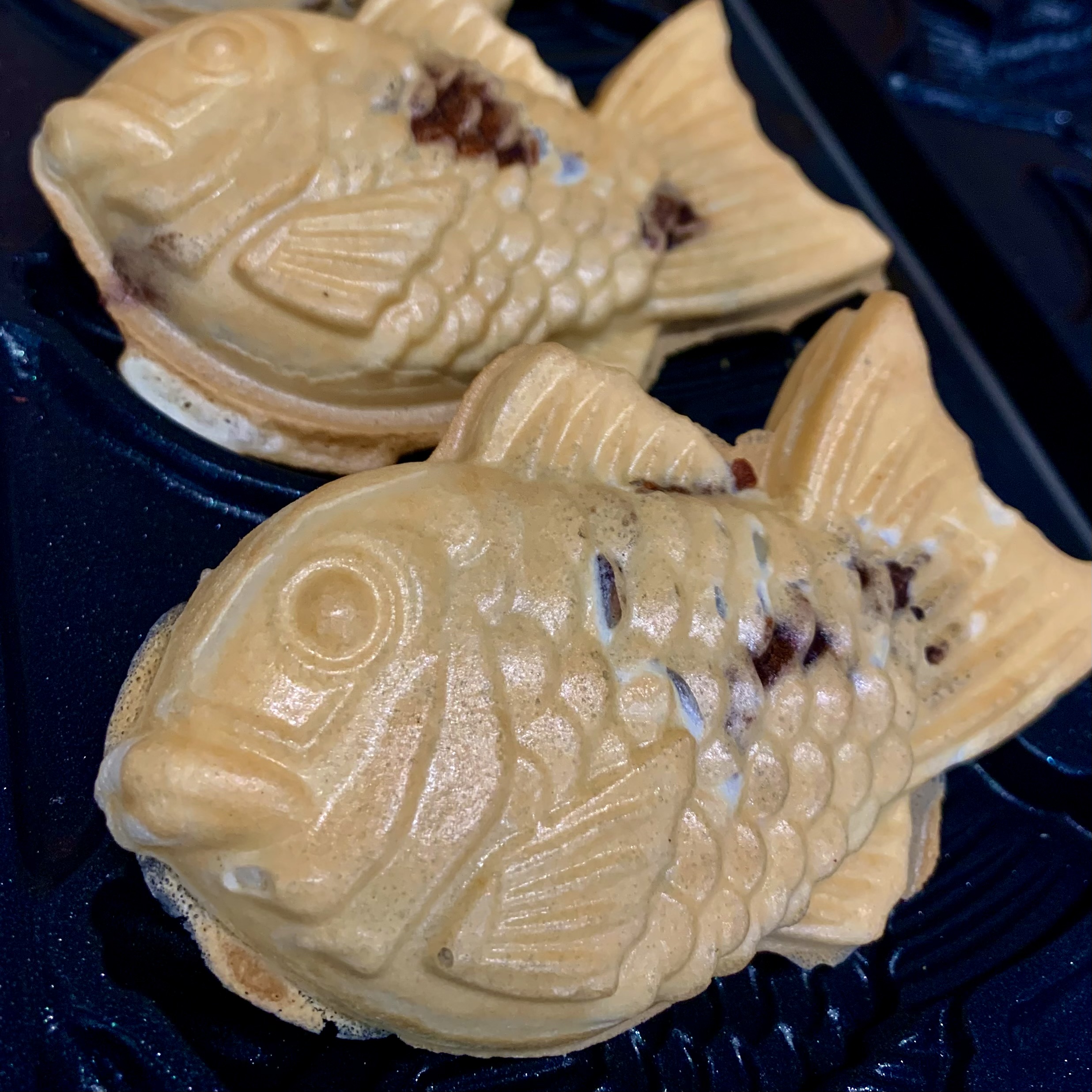 테라커피