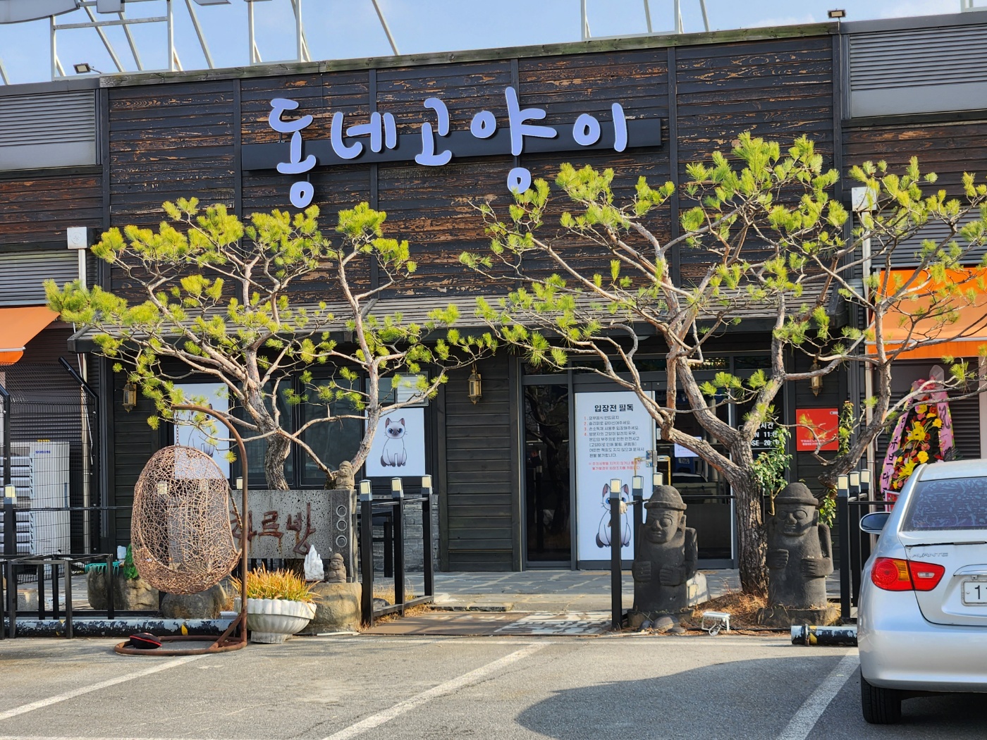동네고양이