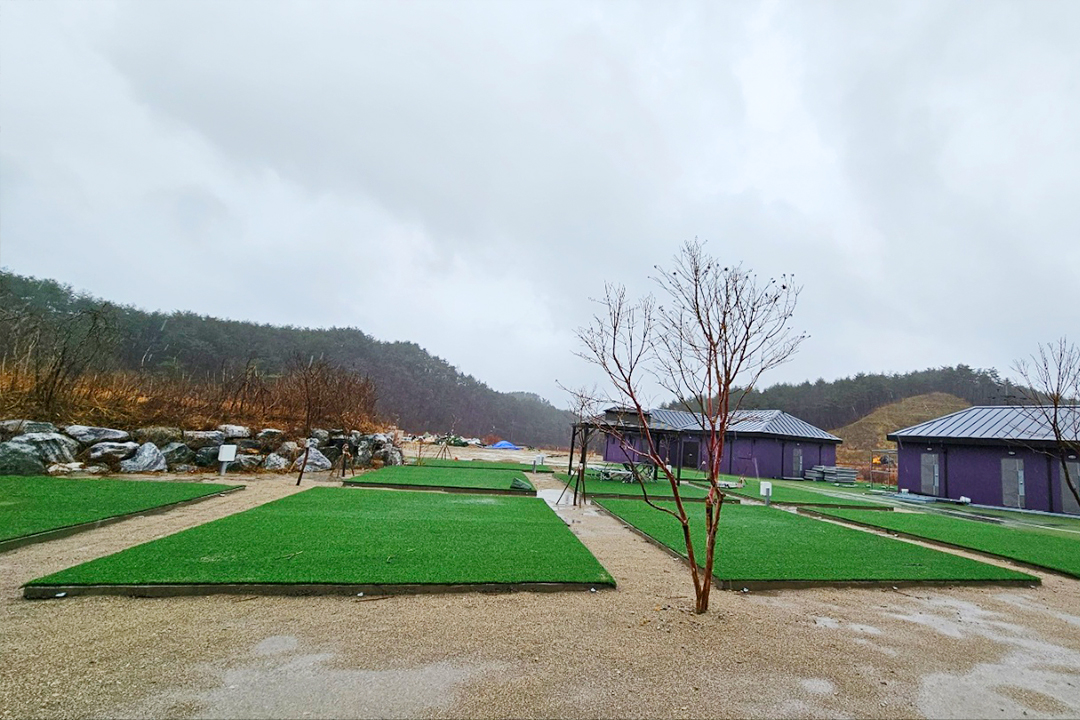 고성라벤더캠핑장