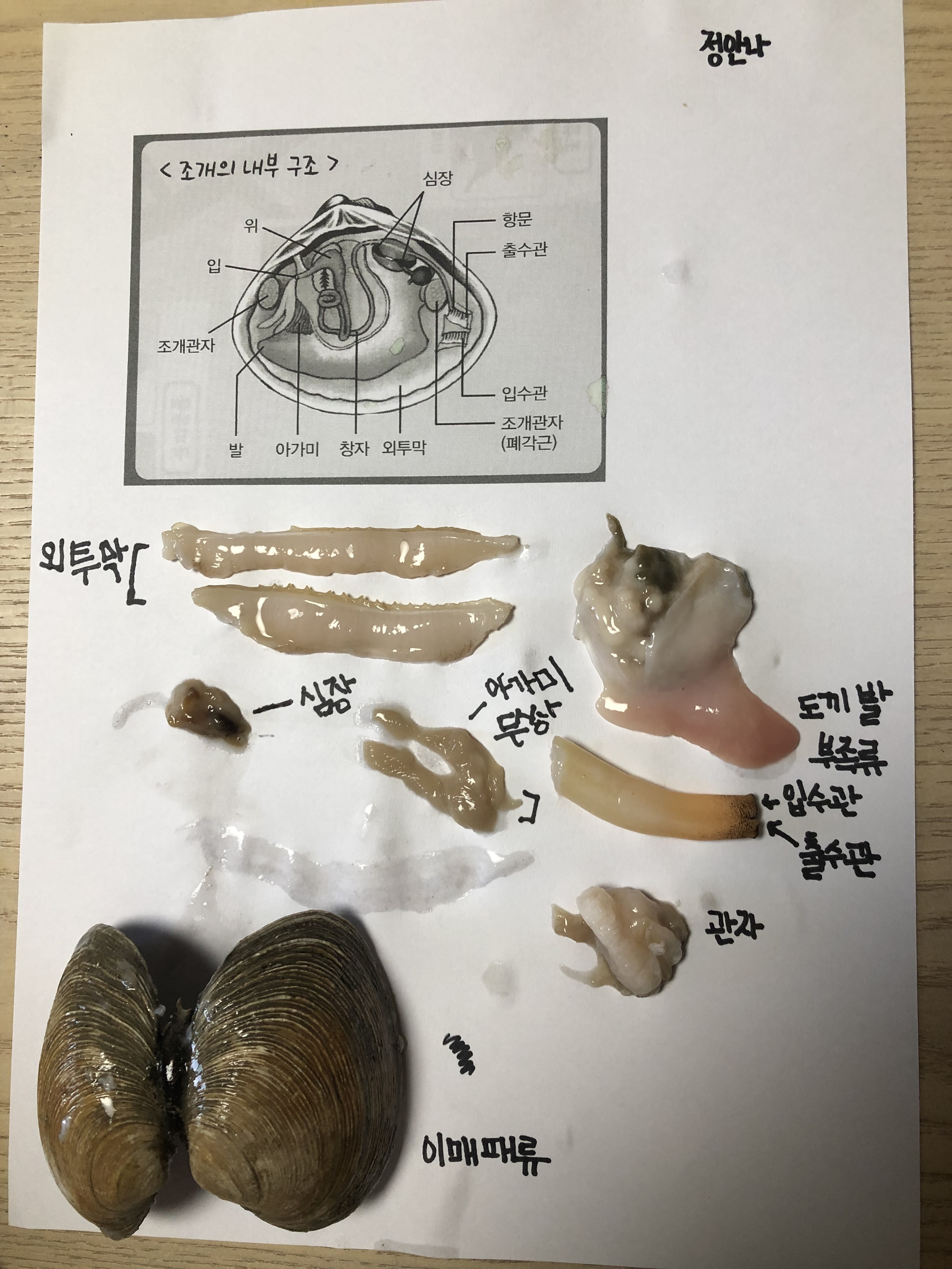 강빛하연과학교습소