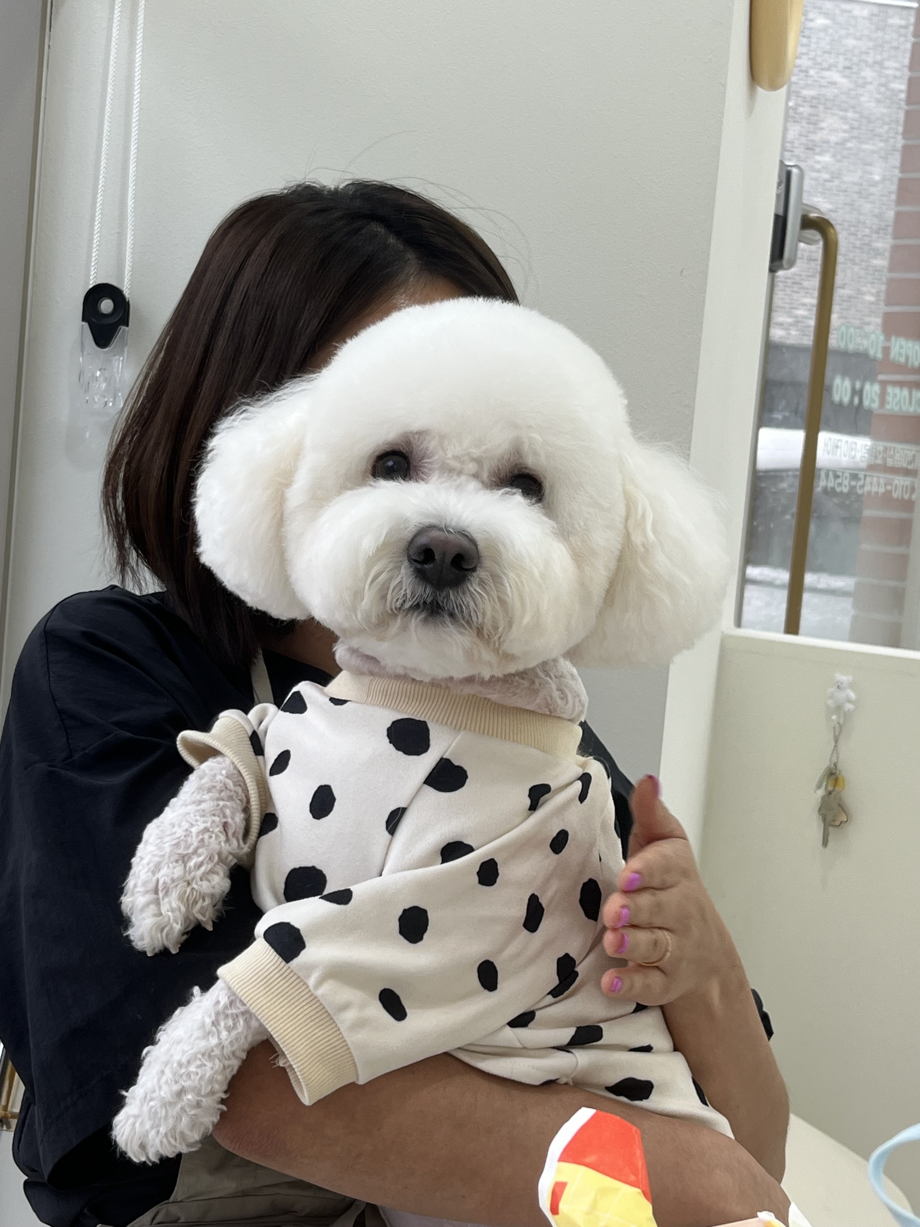 다온댕 대표 이미지