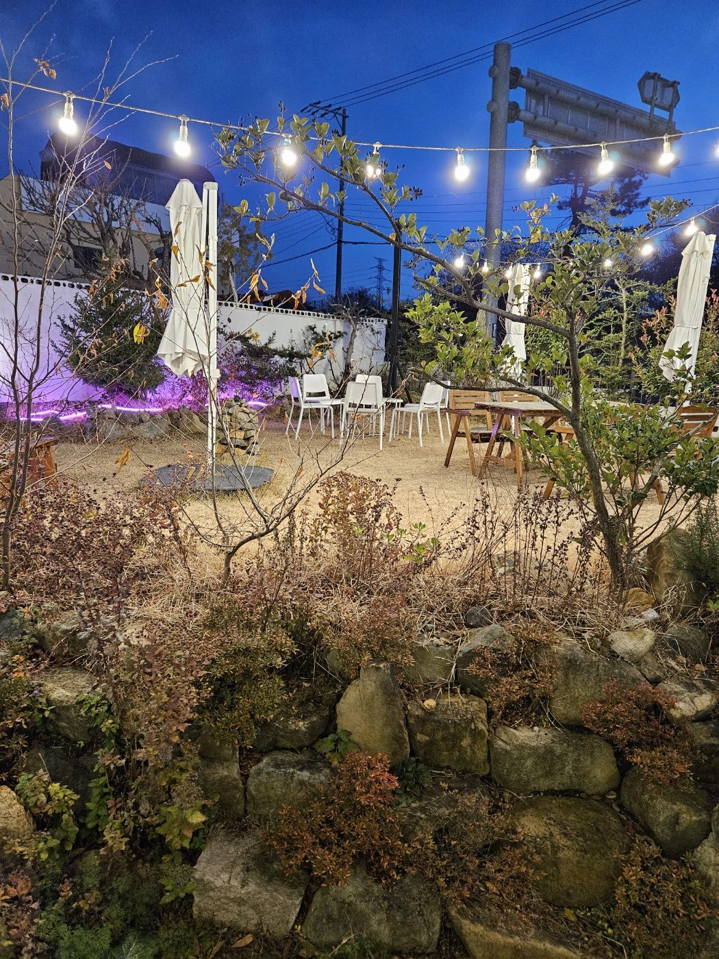 플라로드 카페