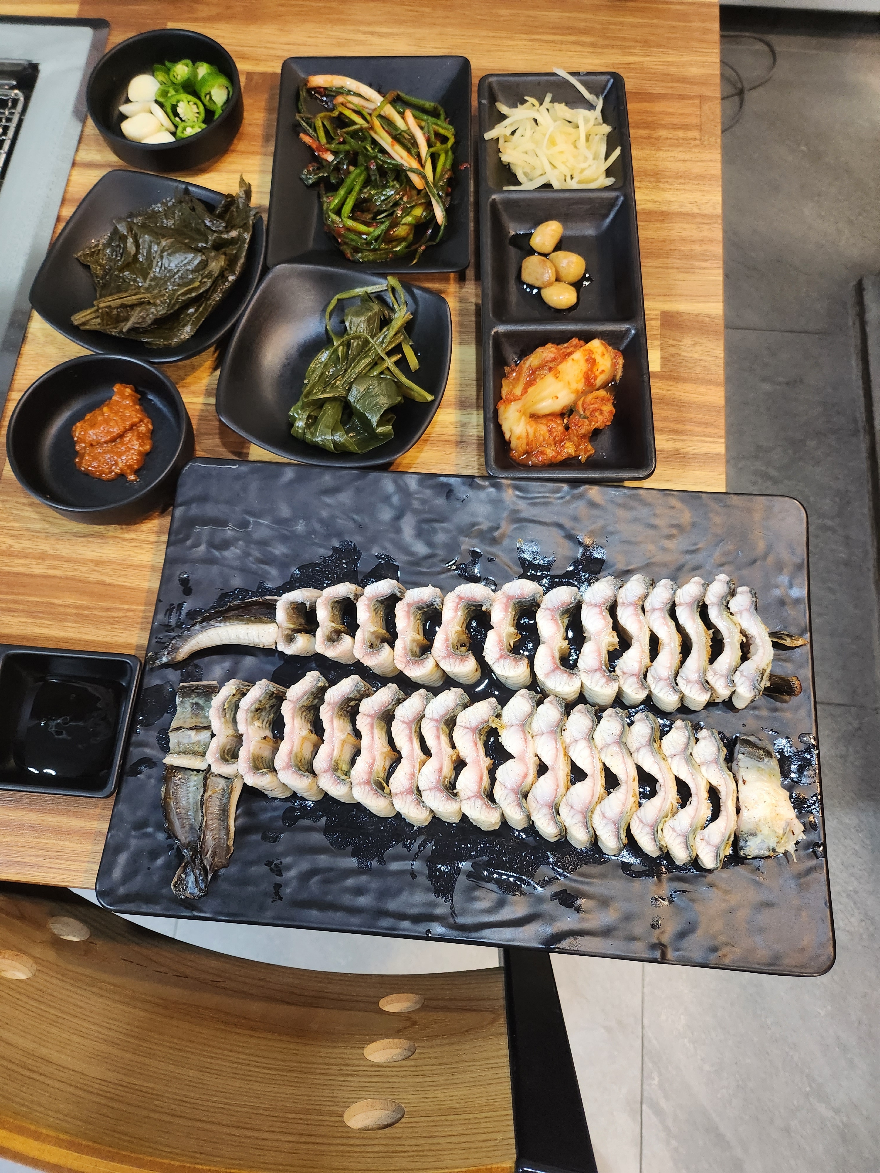 통통장어