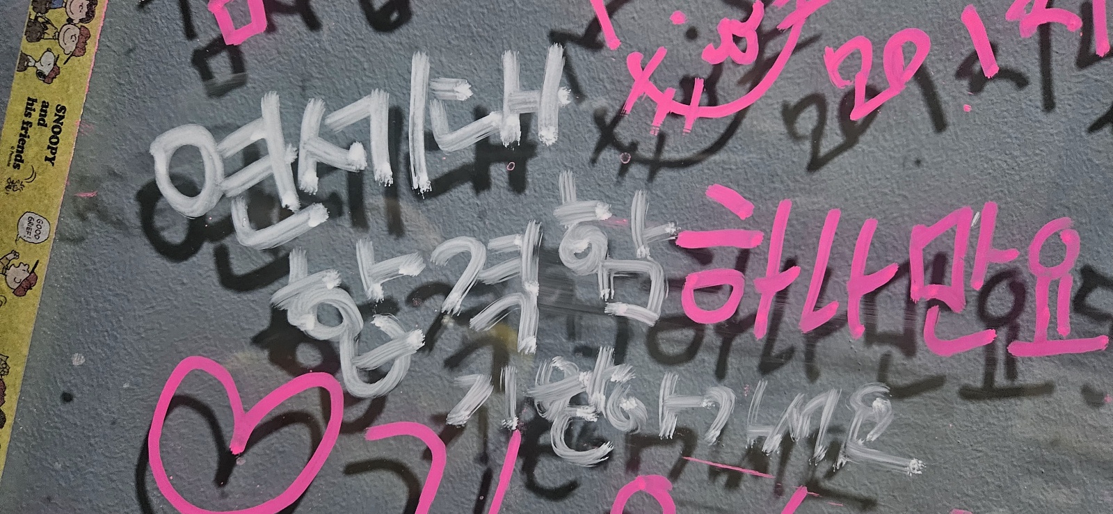 업체사진