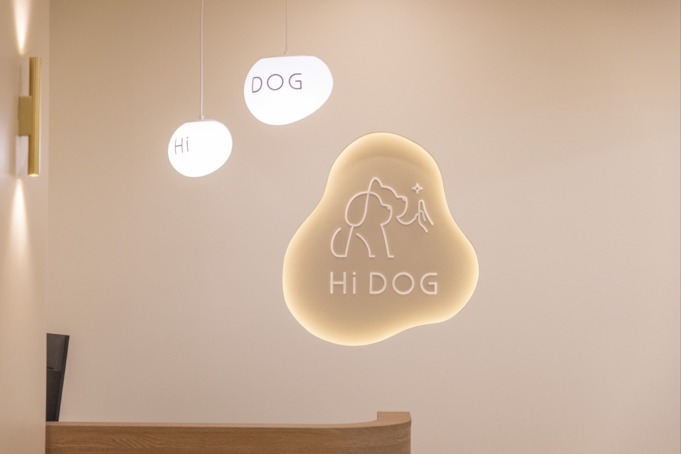 하이독 대표 이미지