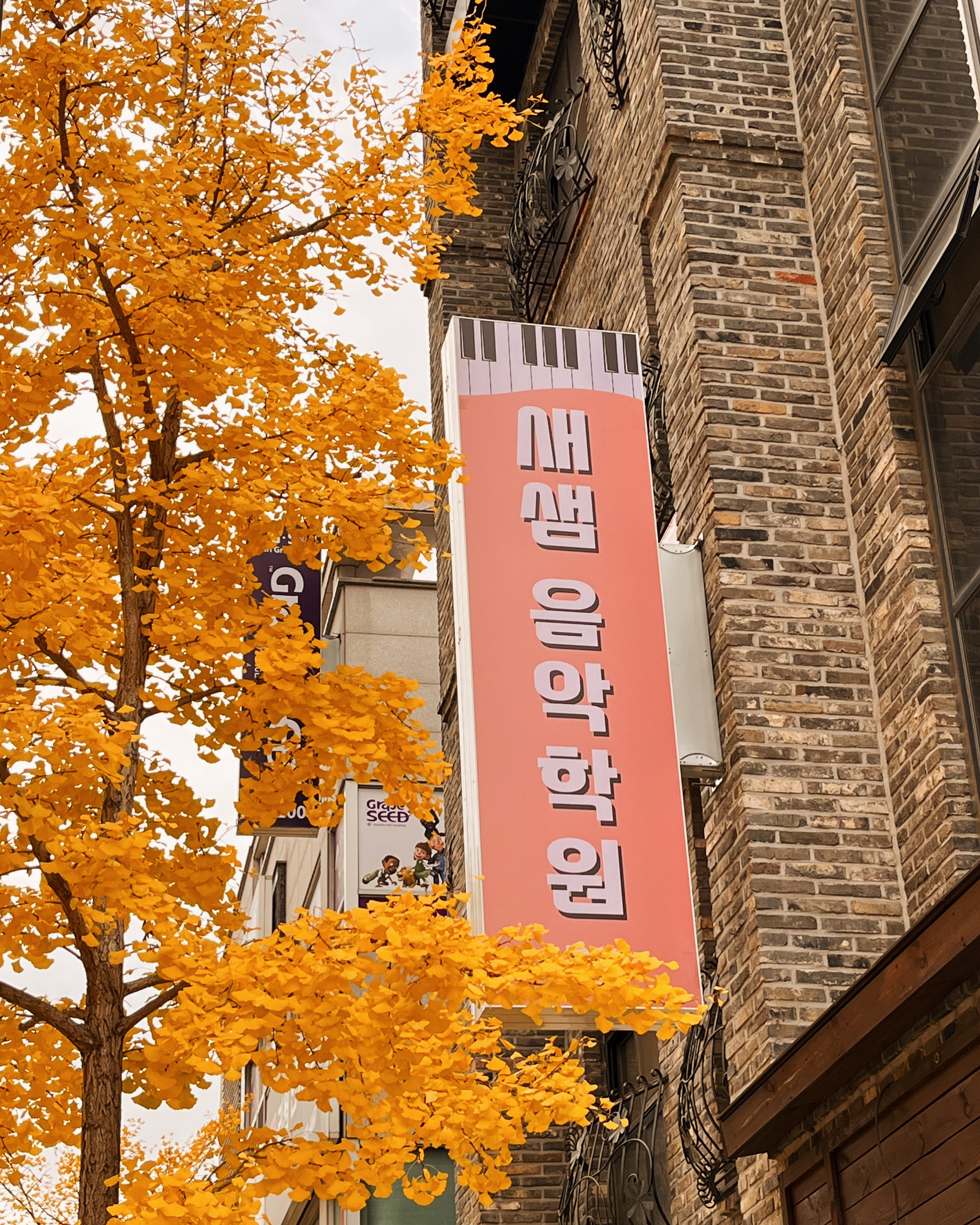 새샘음악학원