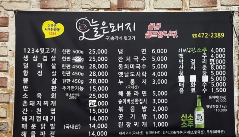 오늘은 돼지