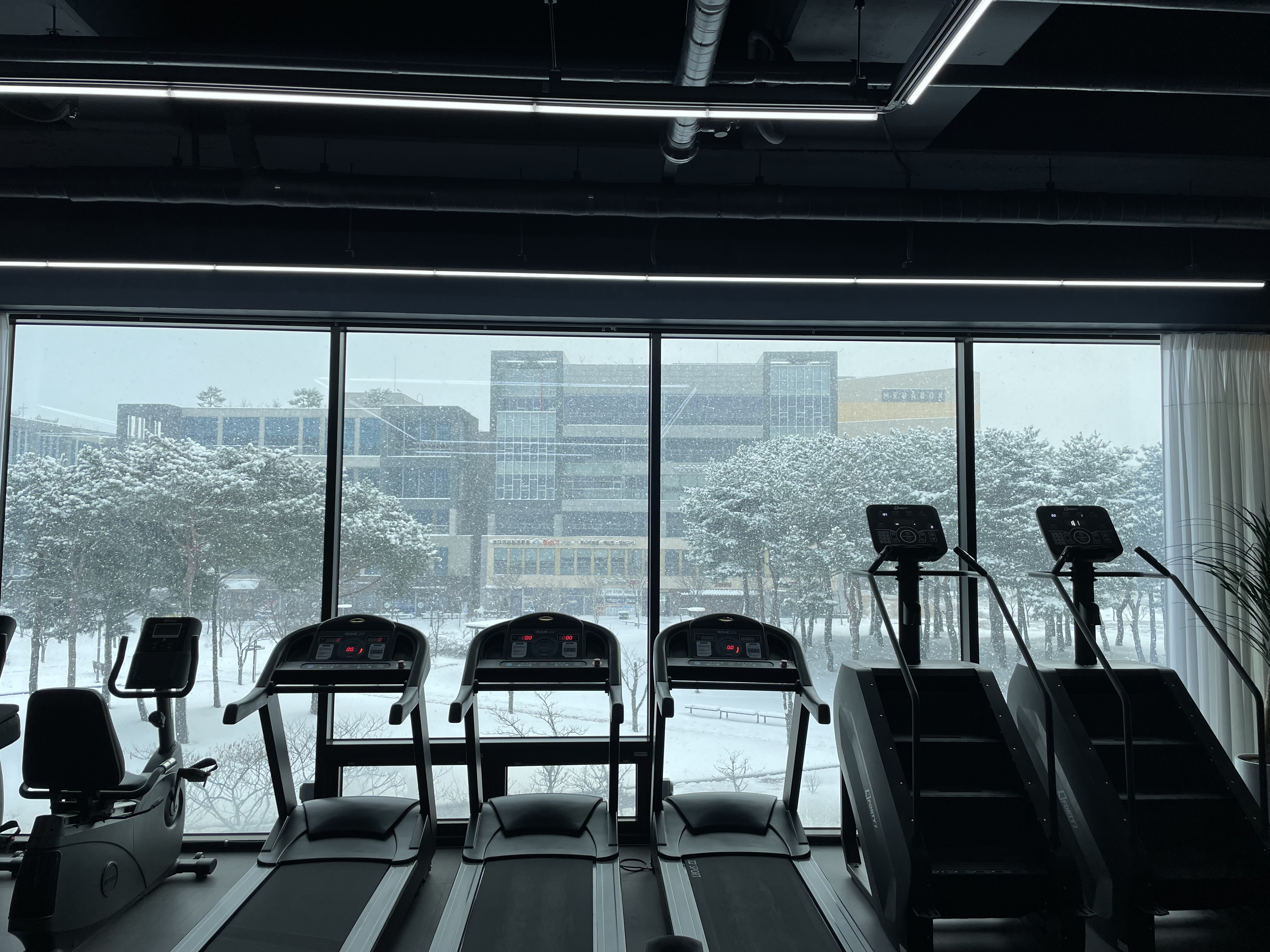짐승Fitness