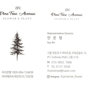 IFC 파인트리