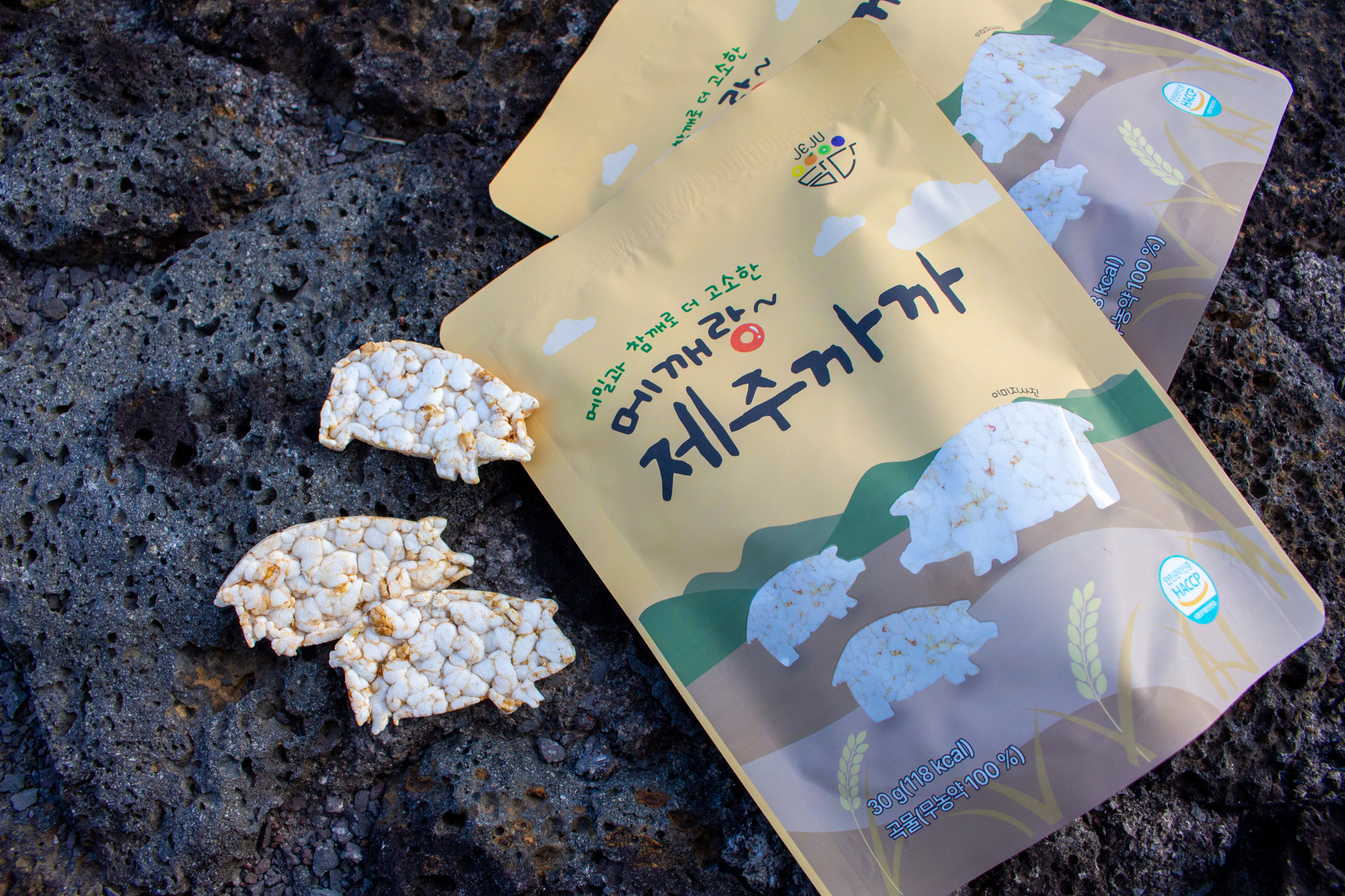 자활기업 제주담다