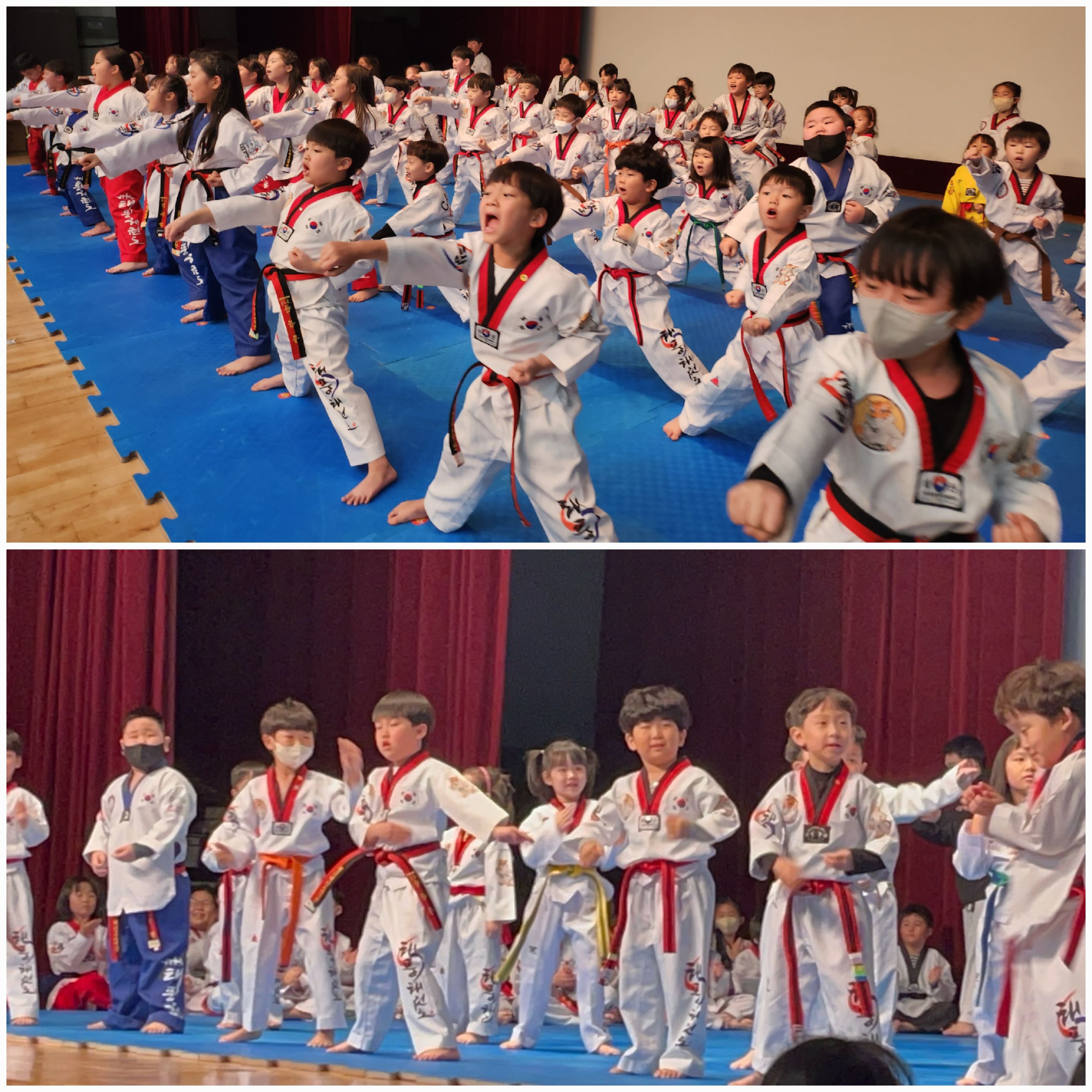 한국체대석사태풍태권도