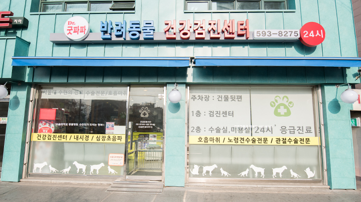굿파파 24시 반려동물건강검진센터 대표 이미지