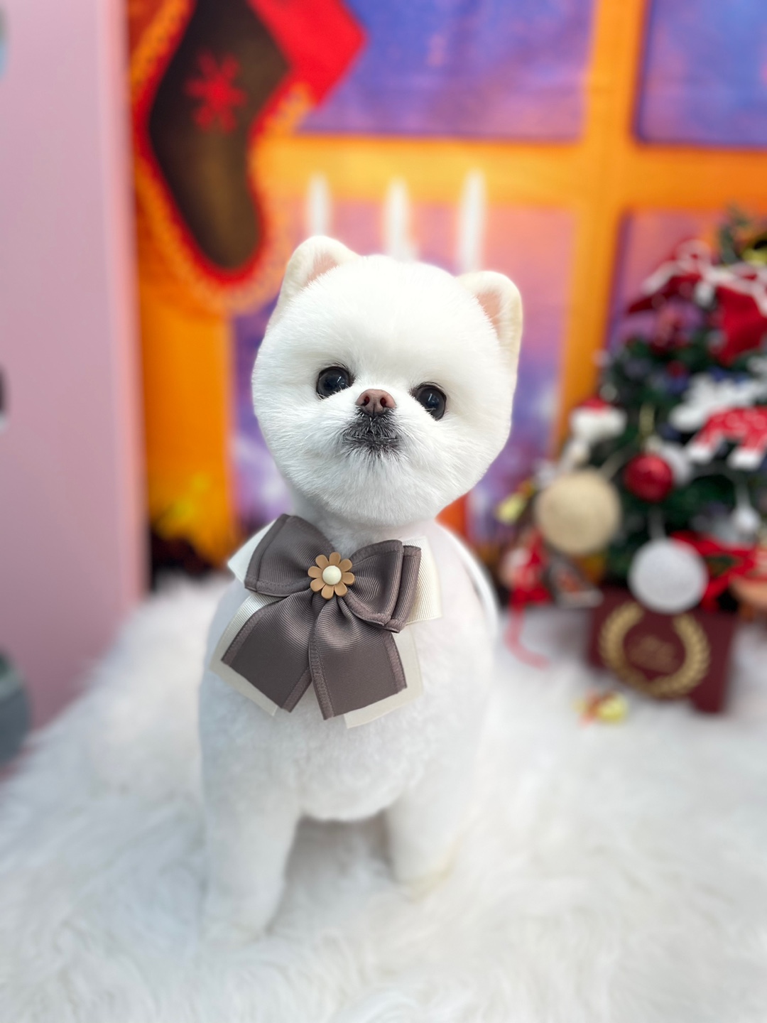 예뿌댕 대표 이미지