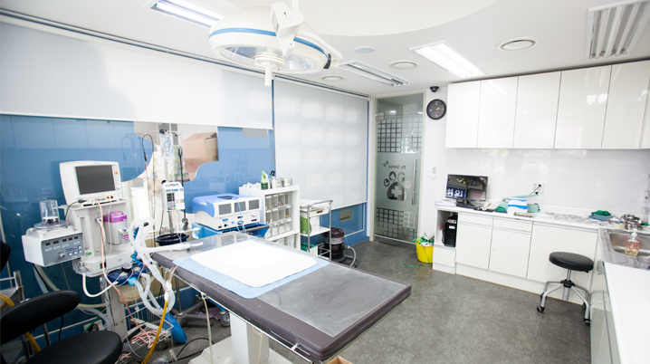 굿파파 24시 반려동물건강검진센터 대표 이미지