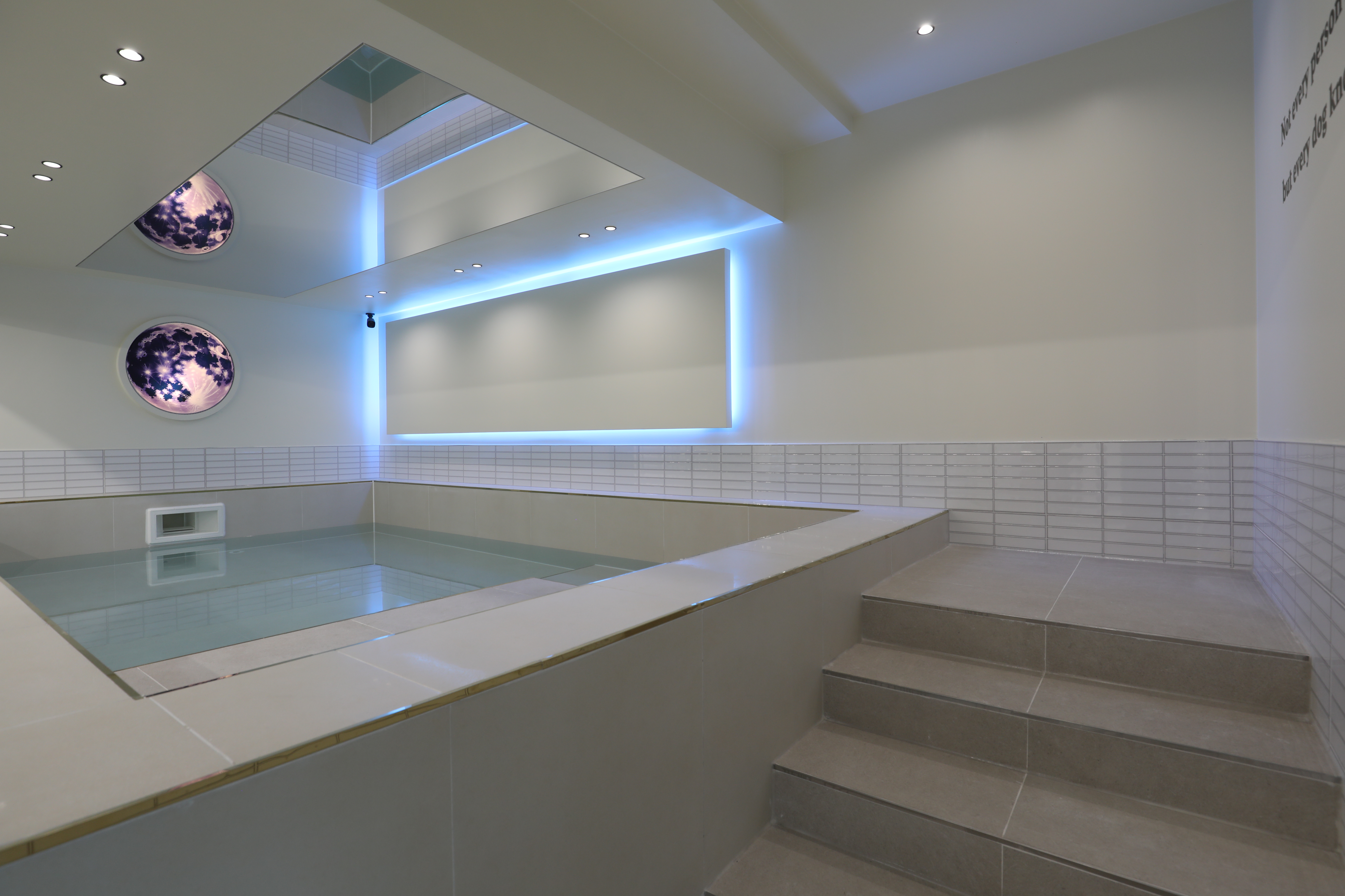 루나펫 대표 이미지