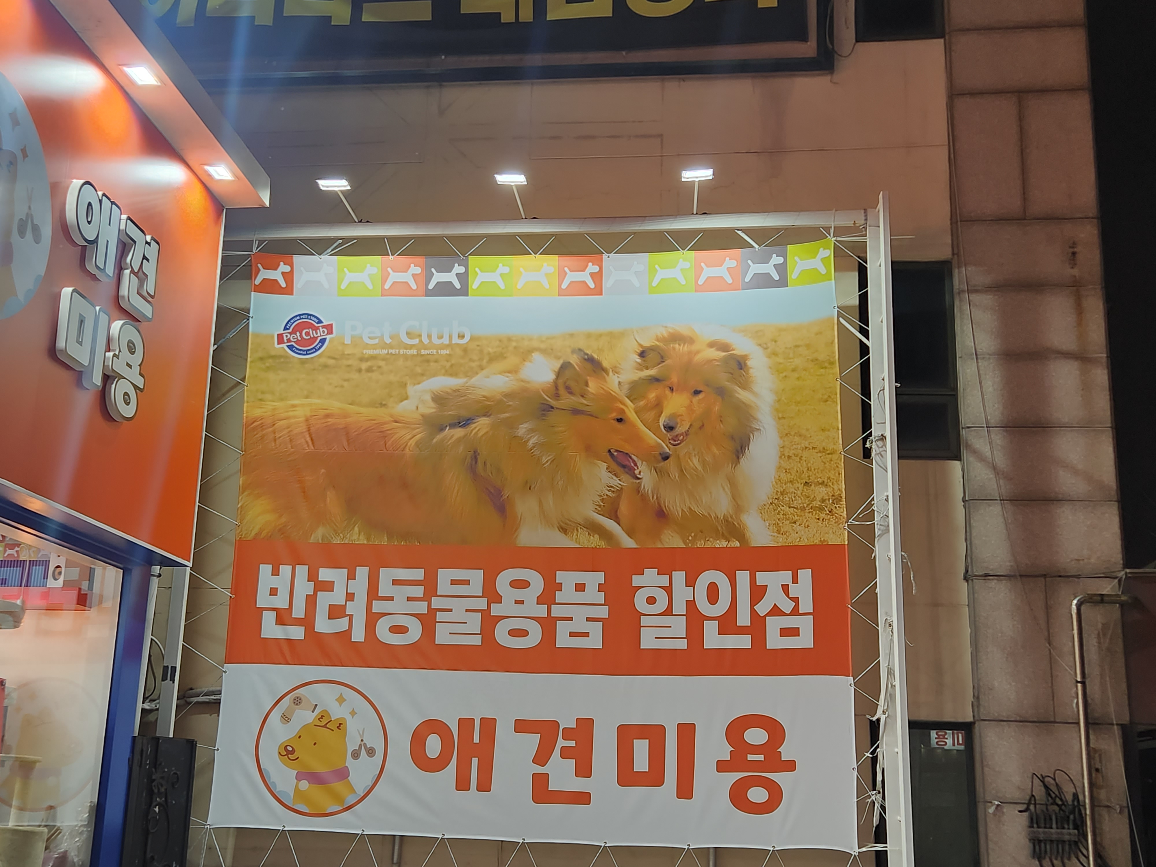 대전 동구 애견용품 전문업체 추천 강아지용품 애완용품 애견용품점 반려동물용품점 펫클럽 대전용전점