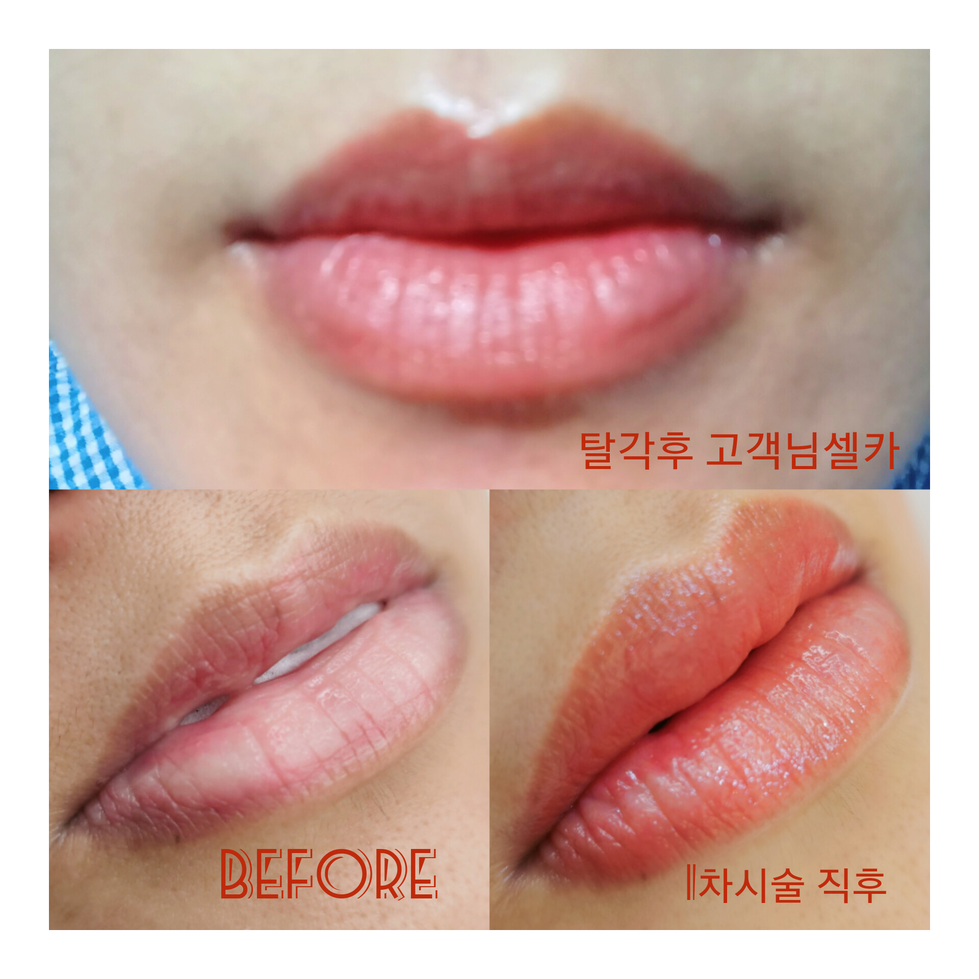 펌스킨아트스튜디오