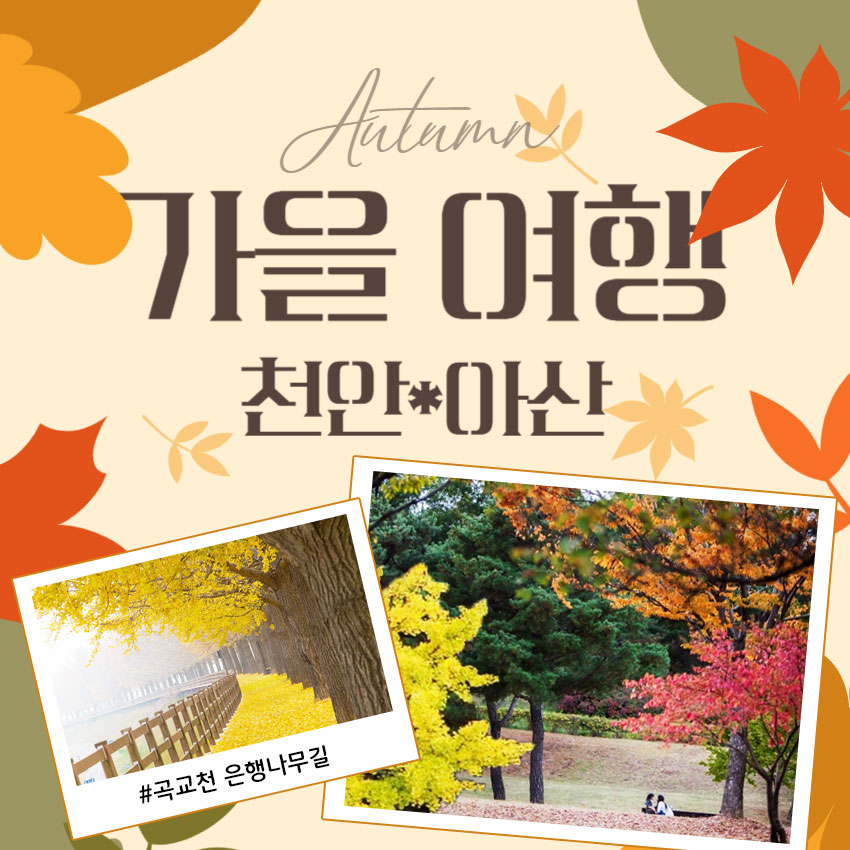 그린스토리투어