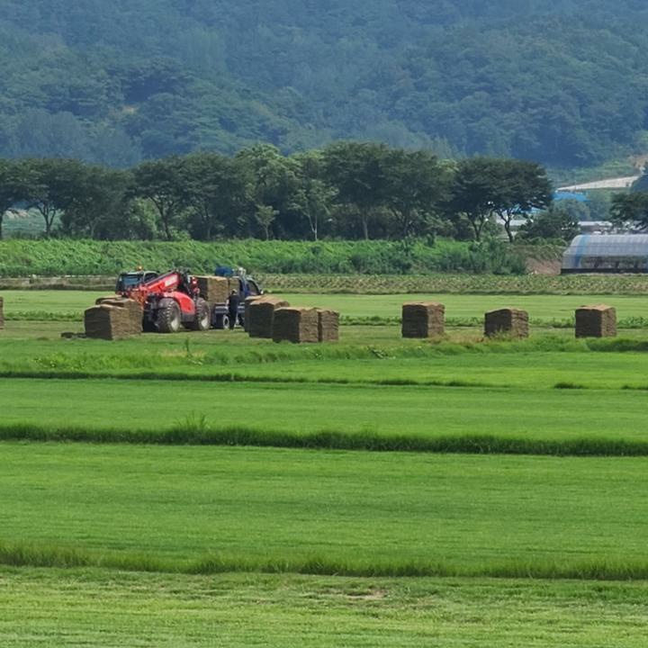 조경자재 코리아