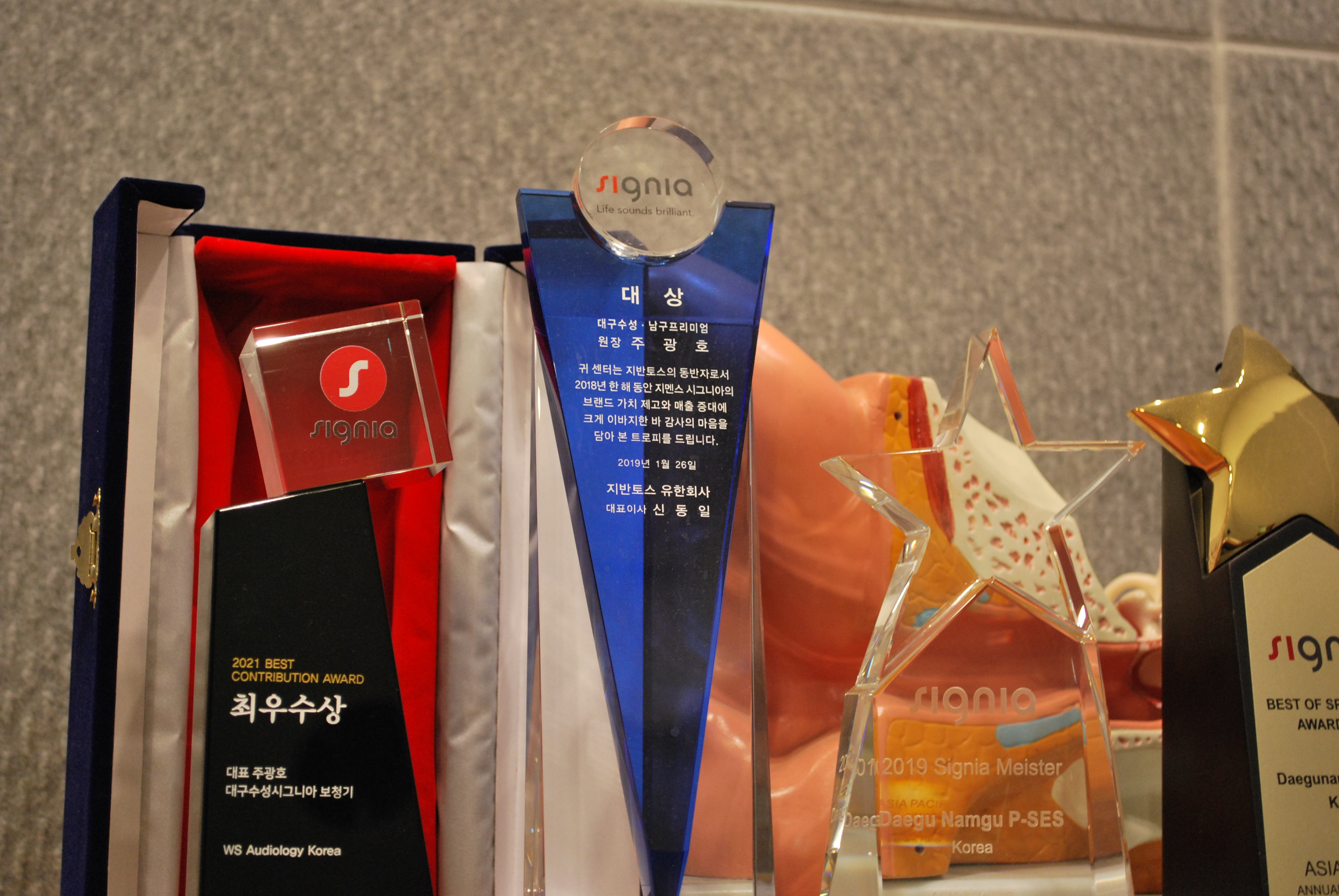 시그니아 독일보청기 대구수성점 대표 이미지